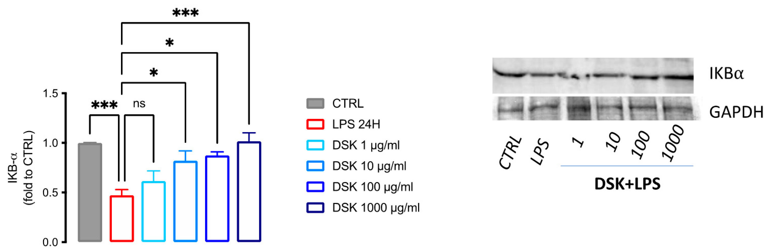 Nutraceuticals 02 00002 g003