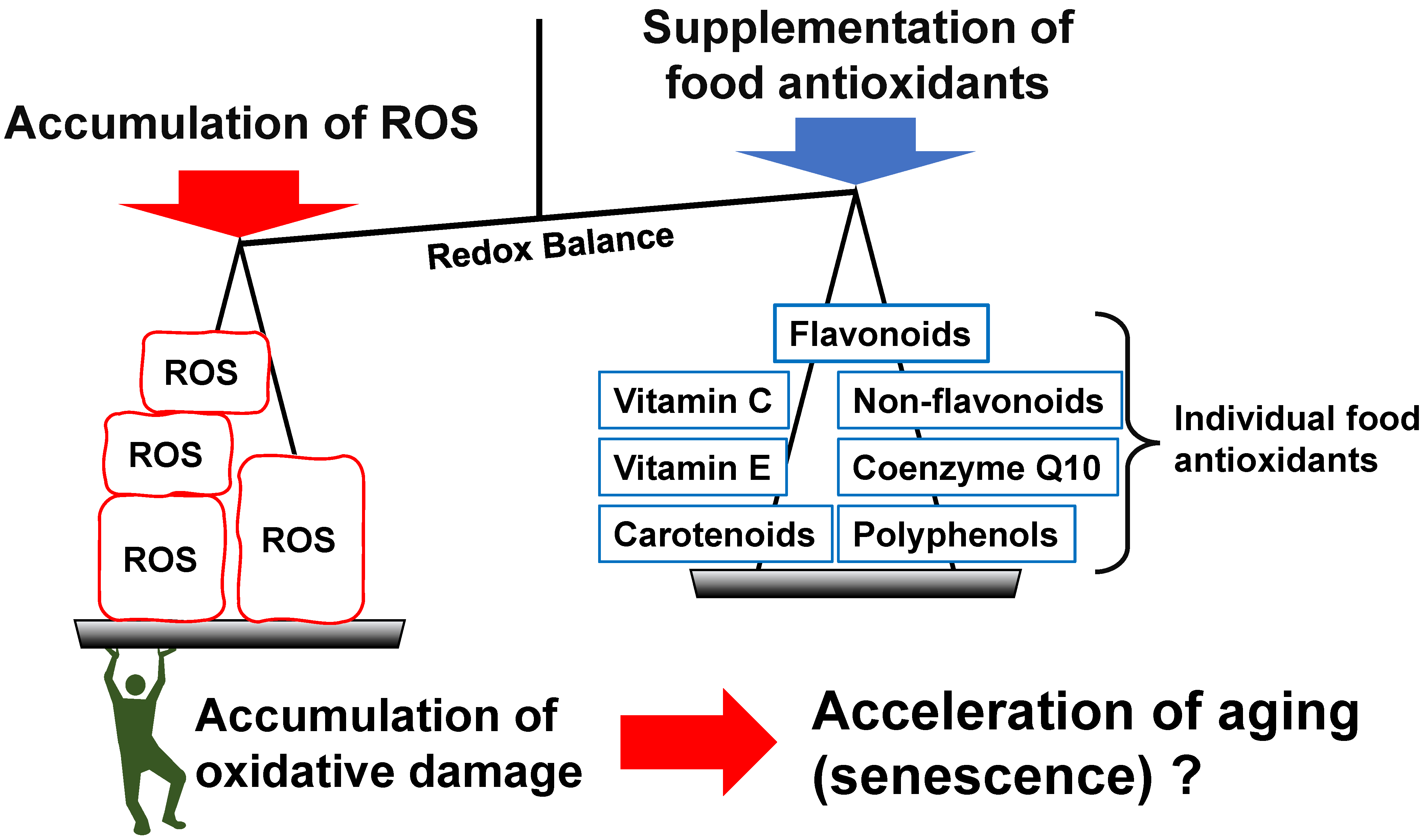 Nutraceuticals 02 00014 g002