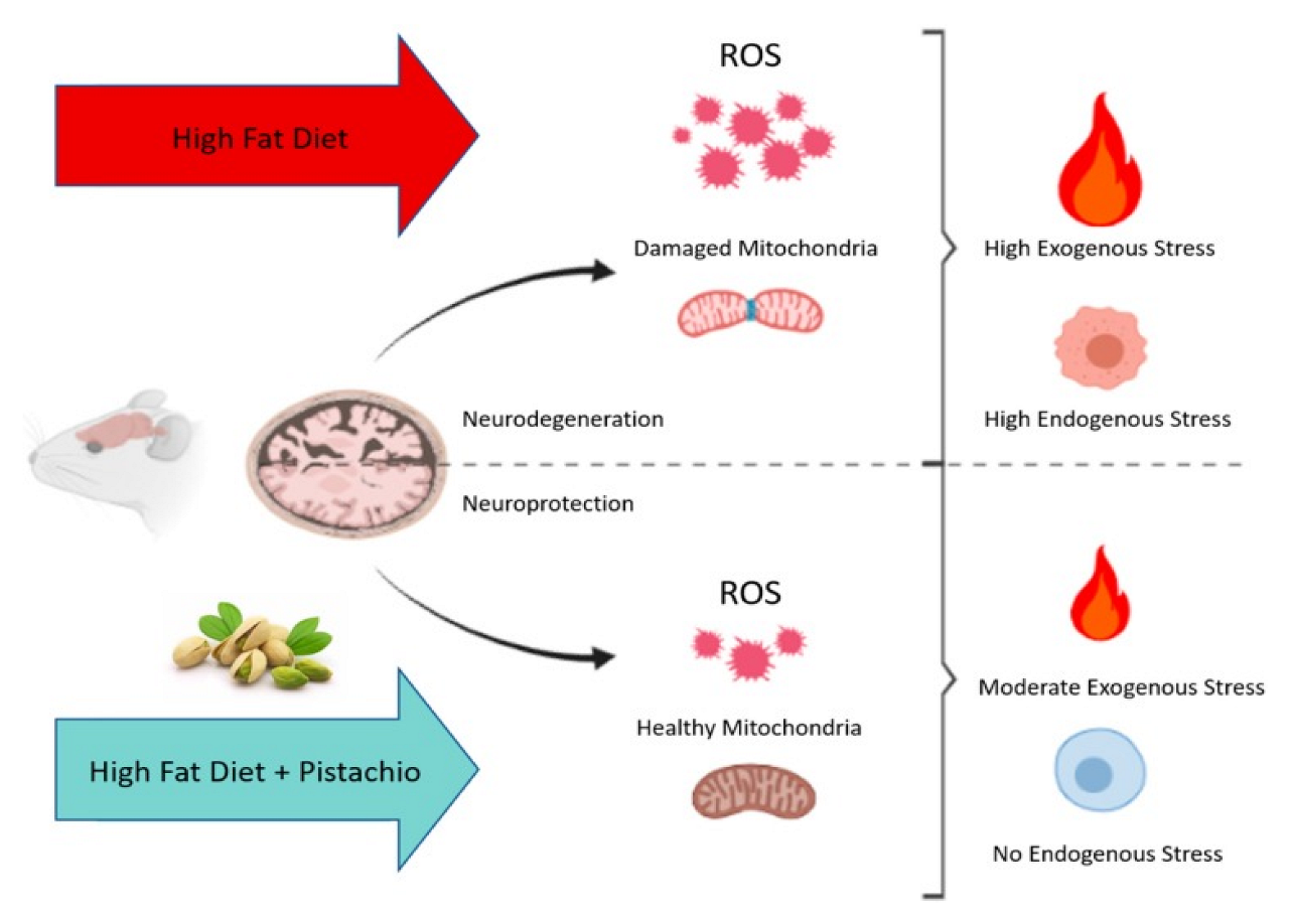 Nutraceuticals 02 00023 g004