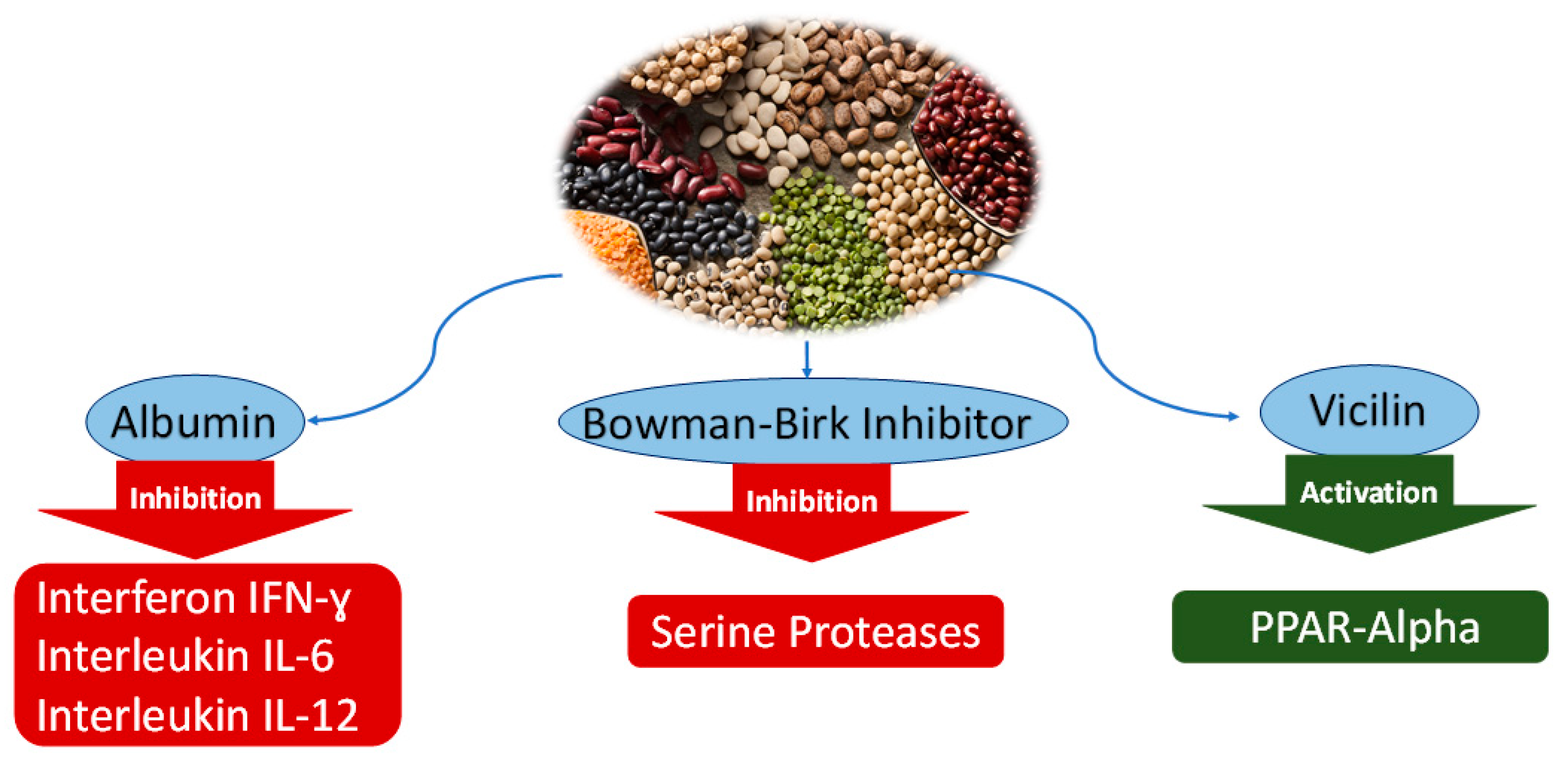 Nutraceuticals 02 00025 g001