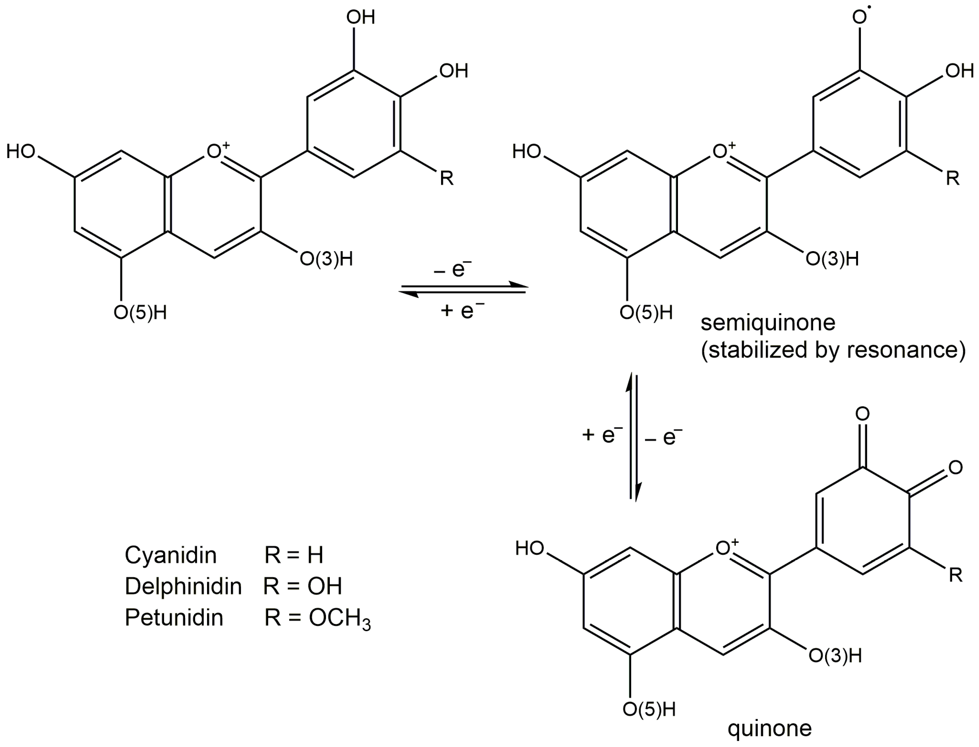 Nutraceuticals 02 00028 g003 Nutraceuticals 02 00028 g003