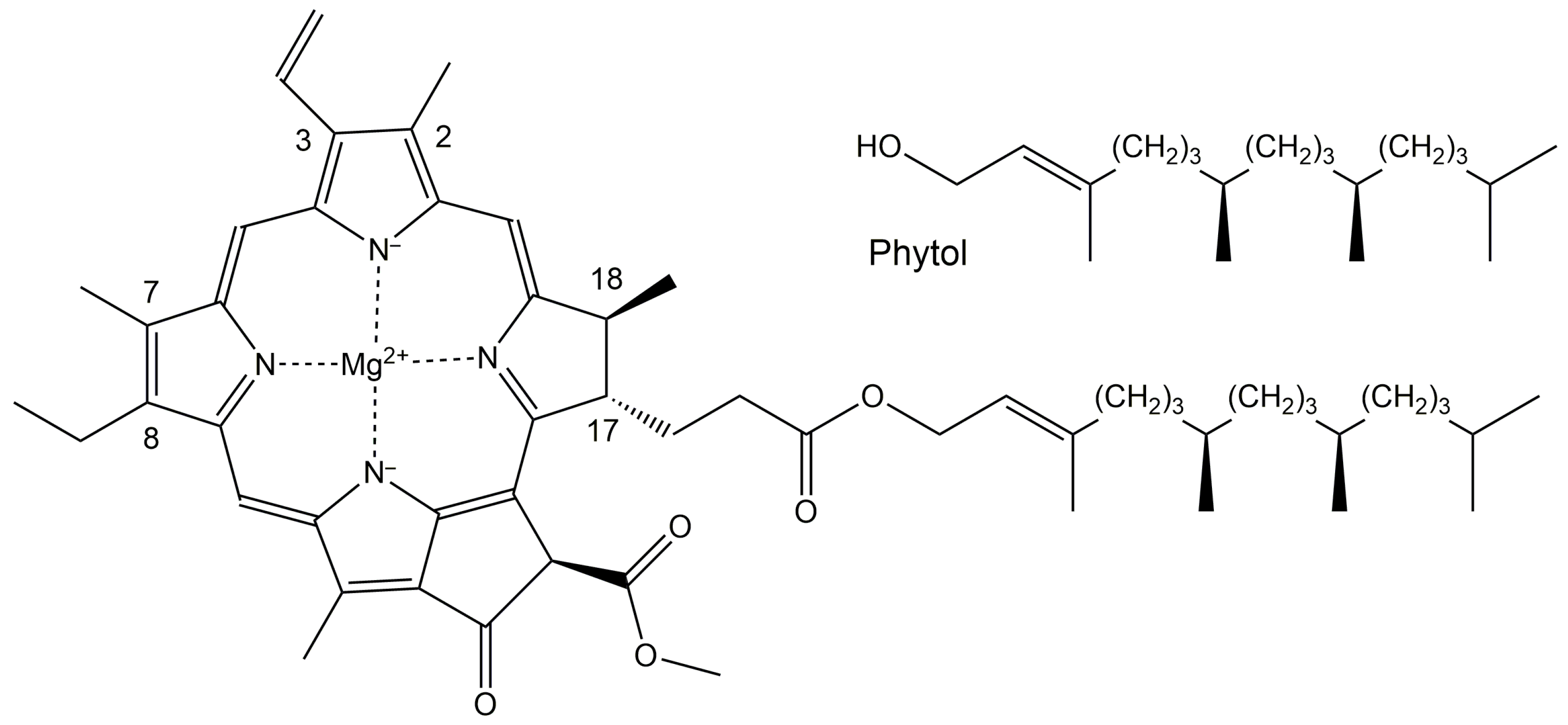 Nutraceuticals 02 00028 g006 Nutraceuticals 02 00028 g006