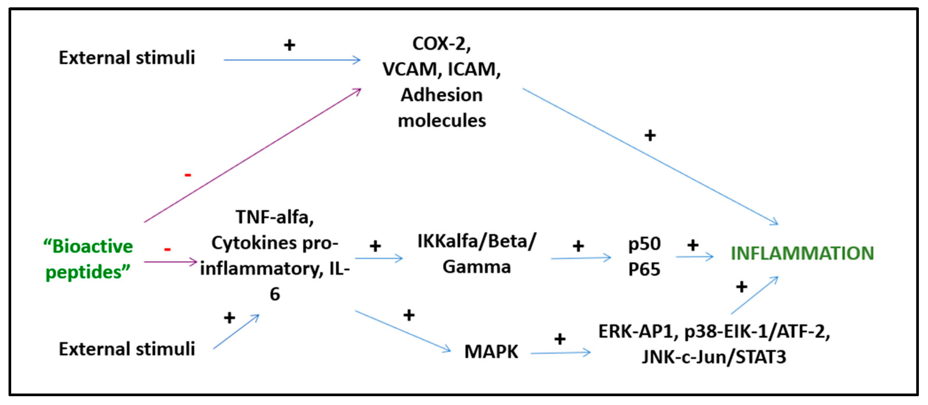 Nutraceuticals 02 00030 g003