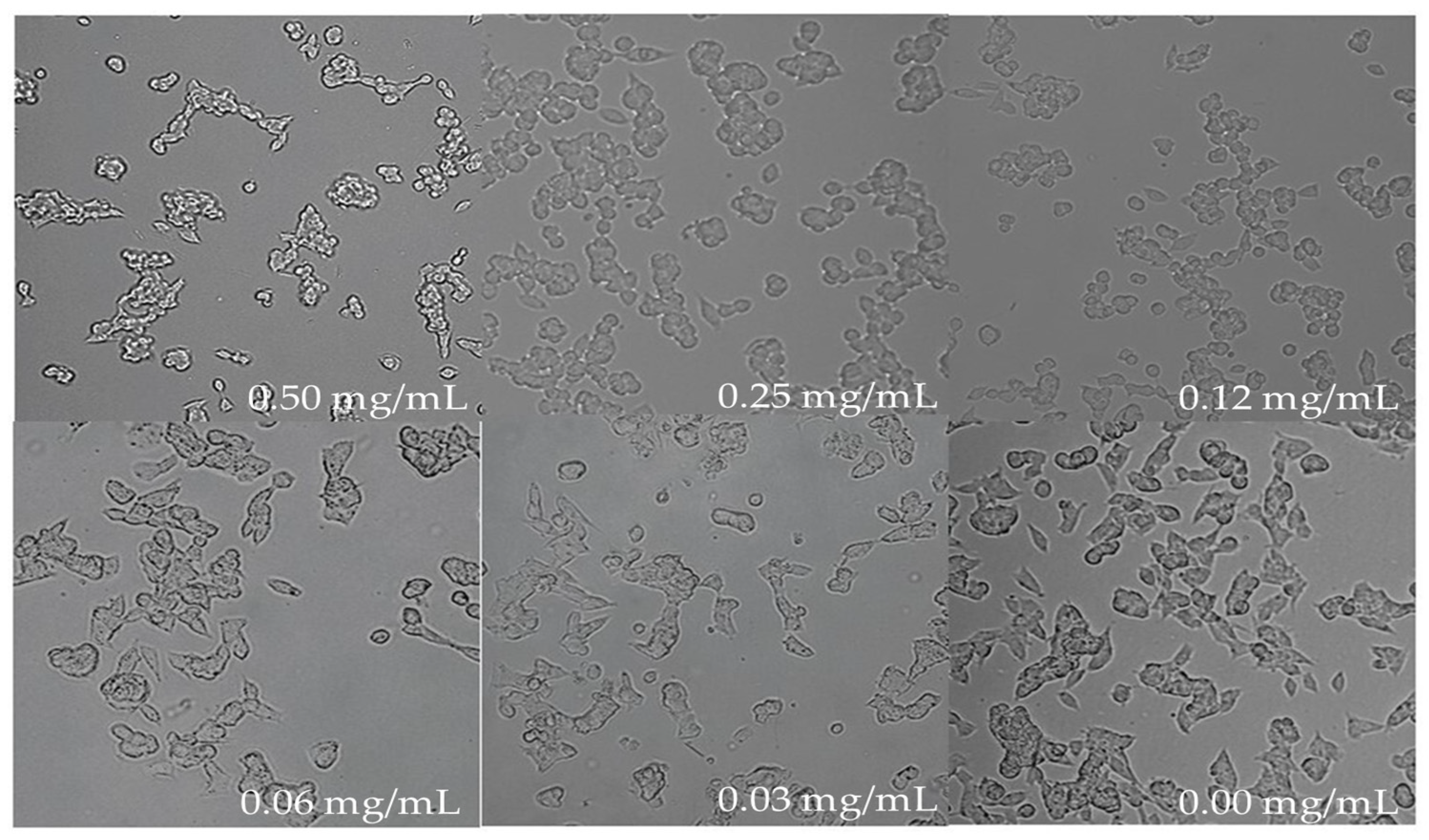 Nutraceuticals 03 00004 g005 Nutraceuticals 03 00004 g005