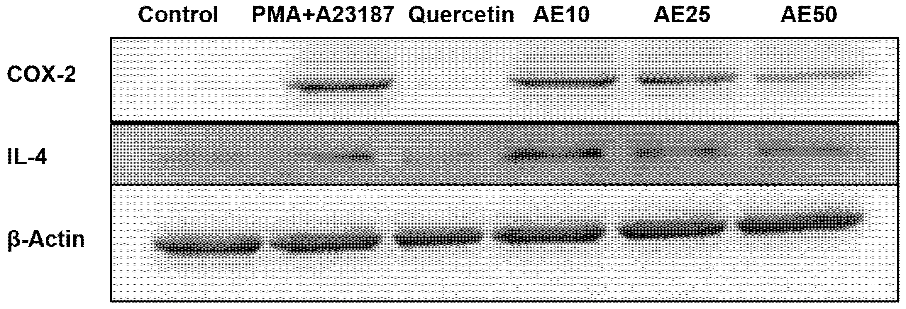 Nutraceuticals 03 00006 g005 Nutraceuticals 03 00006 g005