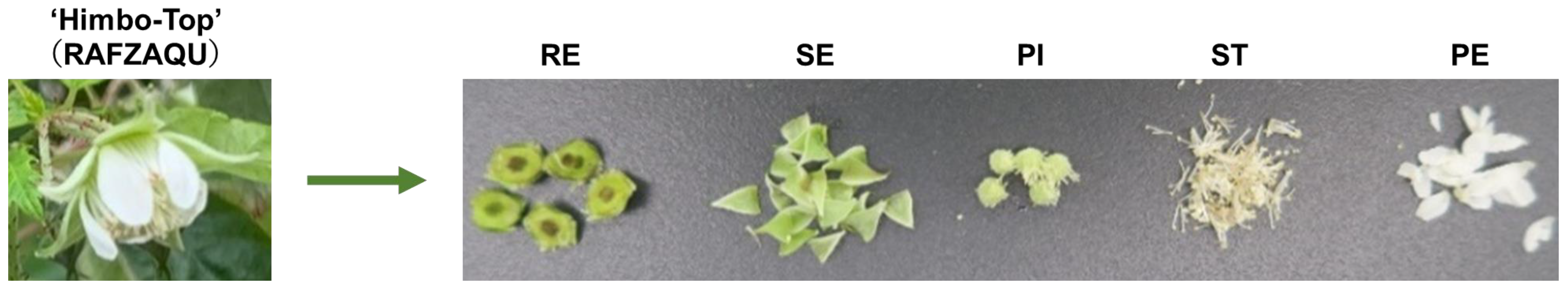 Nutraceuticals 03 00015 g001