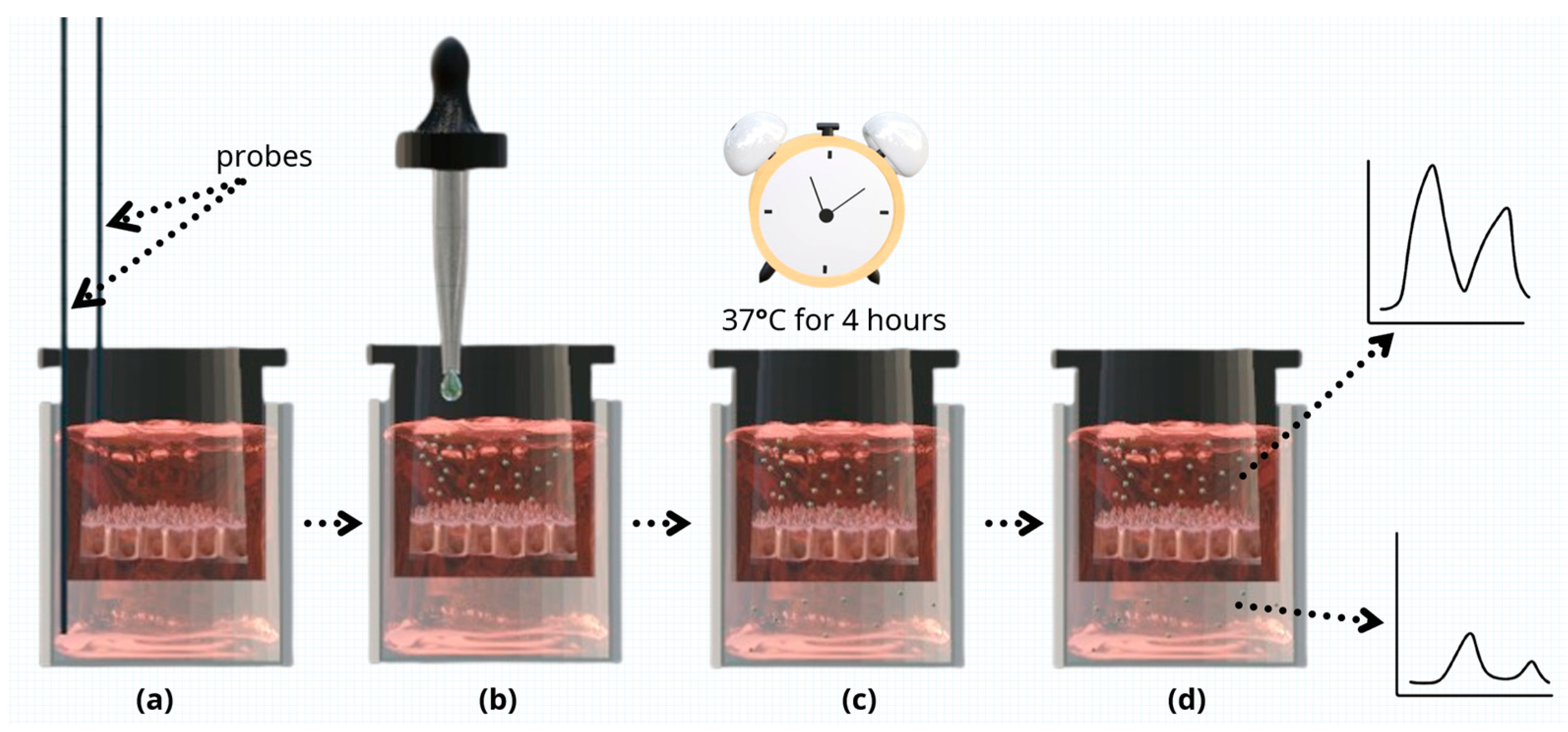 Nutraceuticals 03 00023 g001 Nutraceuticals 03 00023 g001
