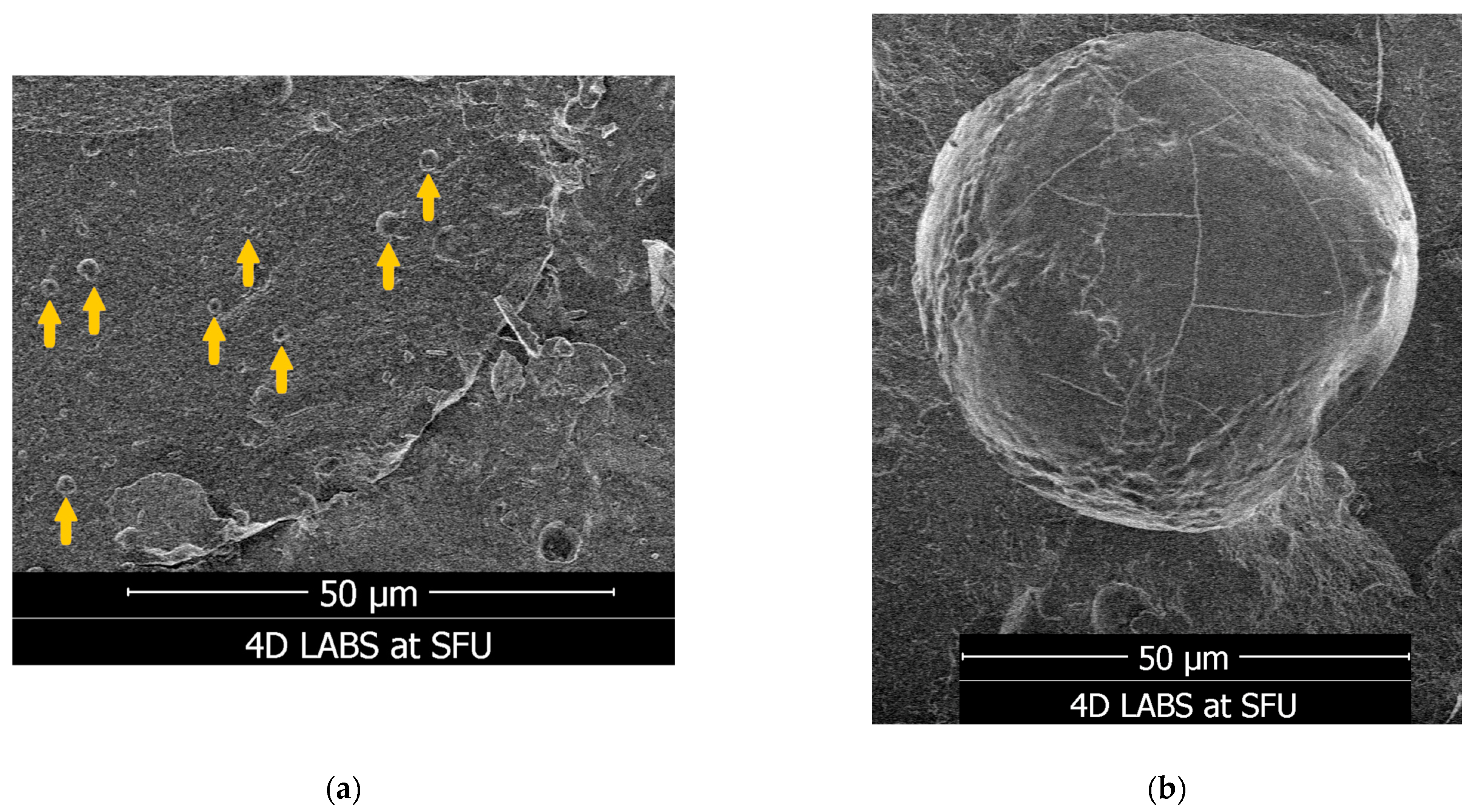 Nutraceuticals 03 00023 g006 Nutraceuticals 03 00023 g006