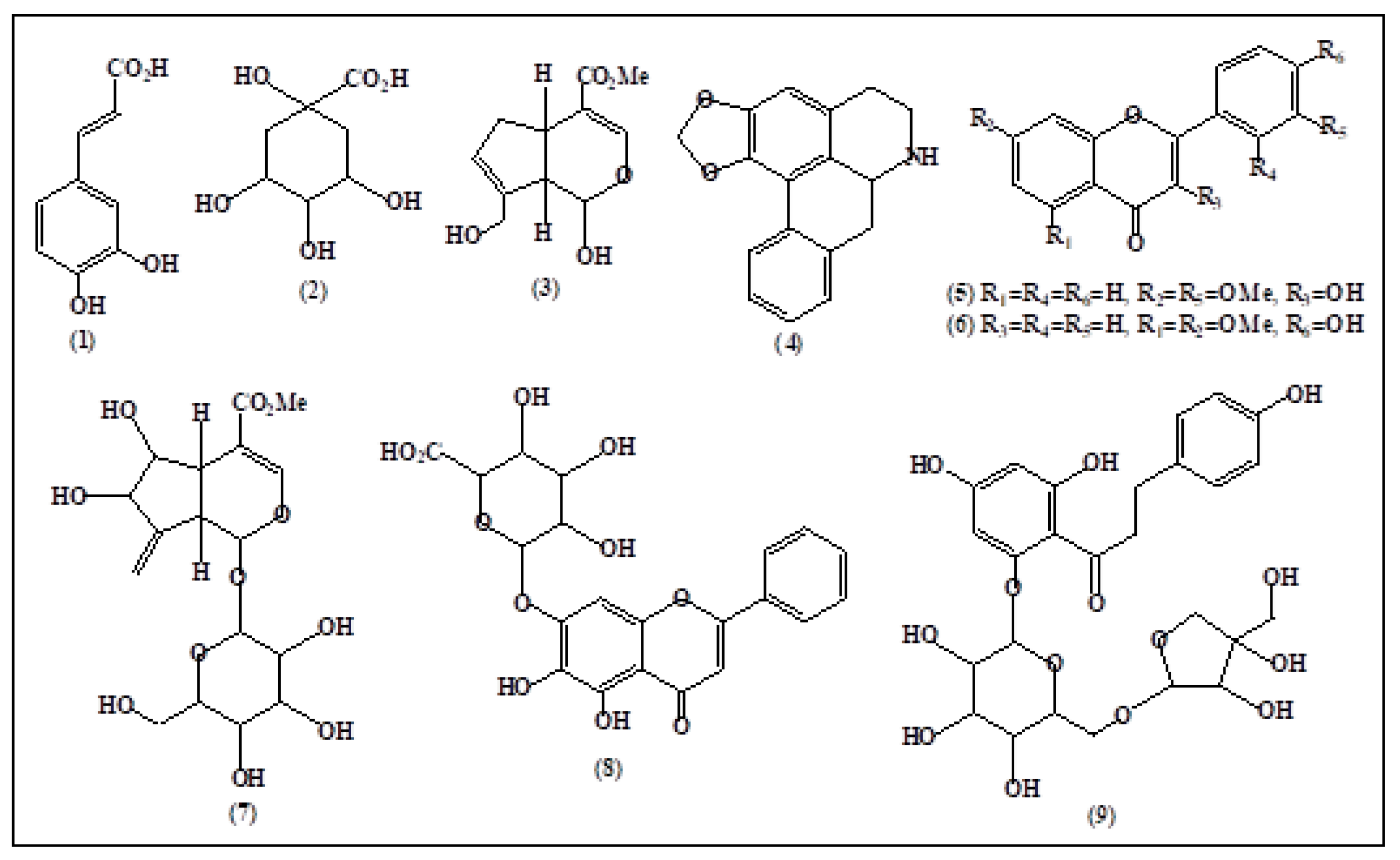 Nutraceuticals 03 00038 g002