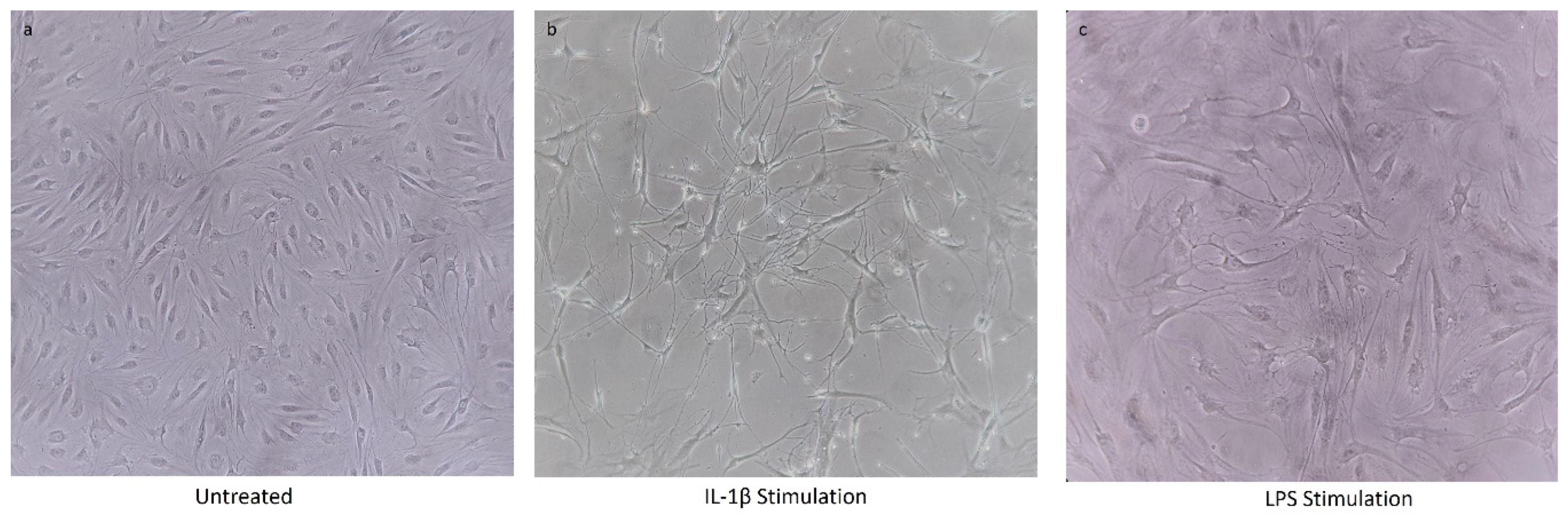 Nutraceuticals 04 00001 g007 Nutraceuticals 04 00001 g007