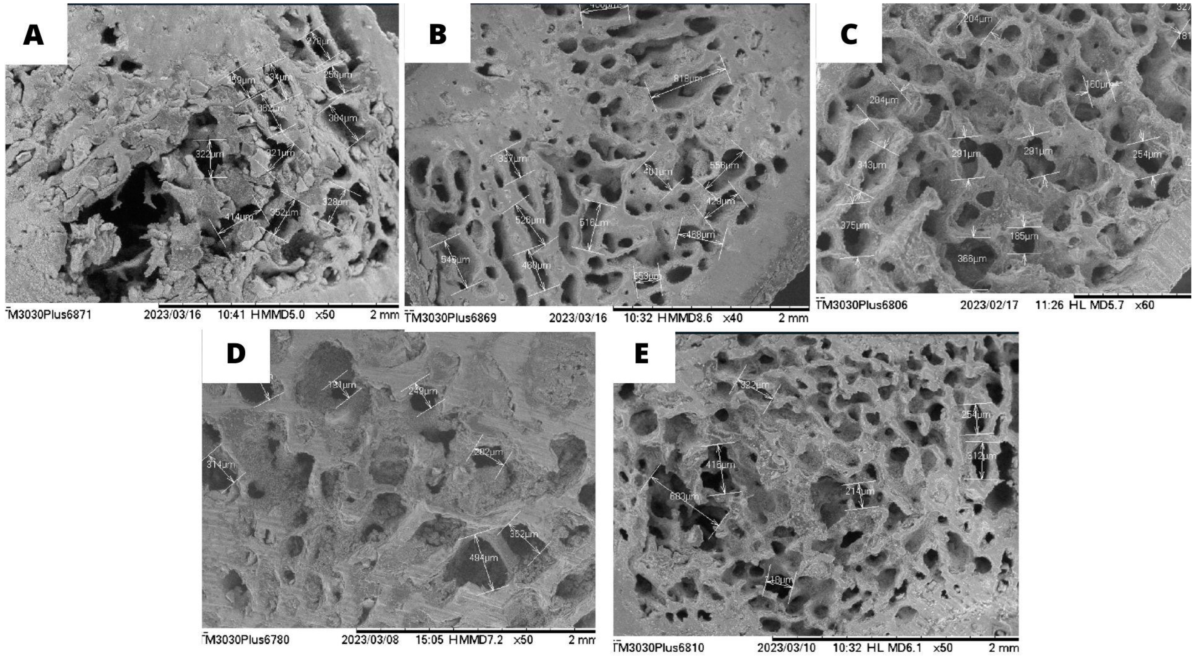 Nutraceuticals 04 00010 g005