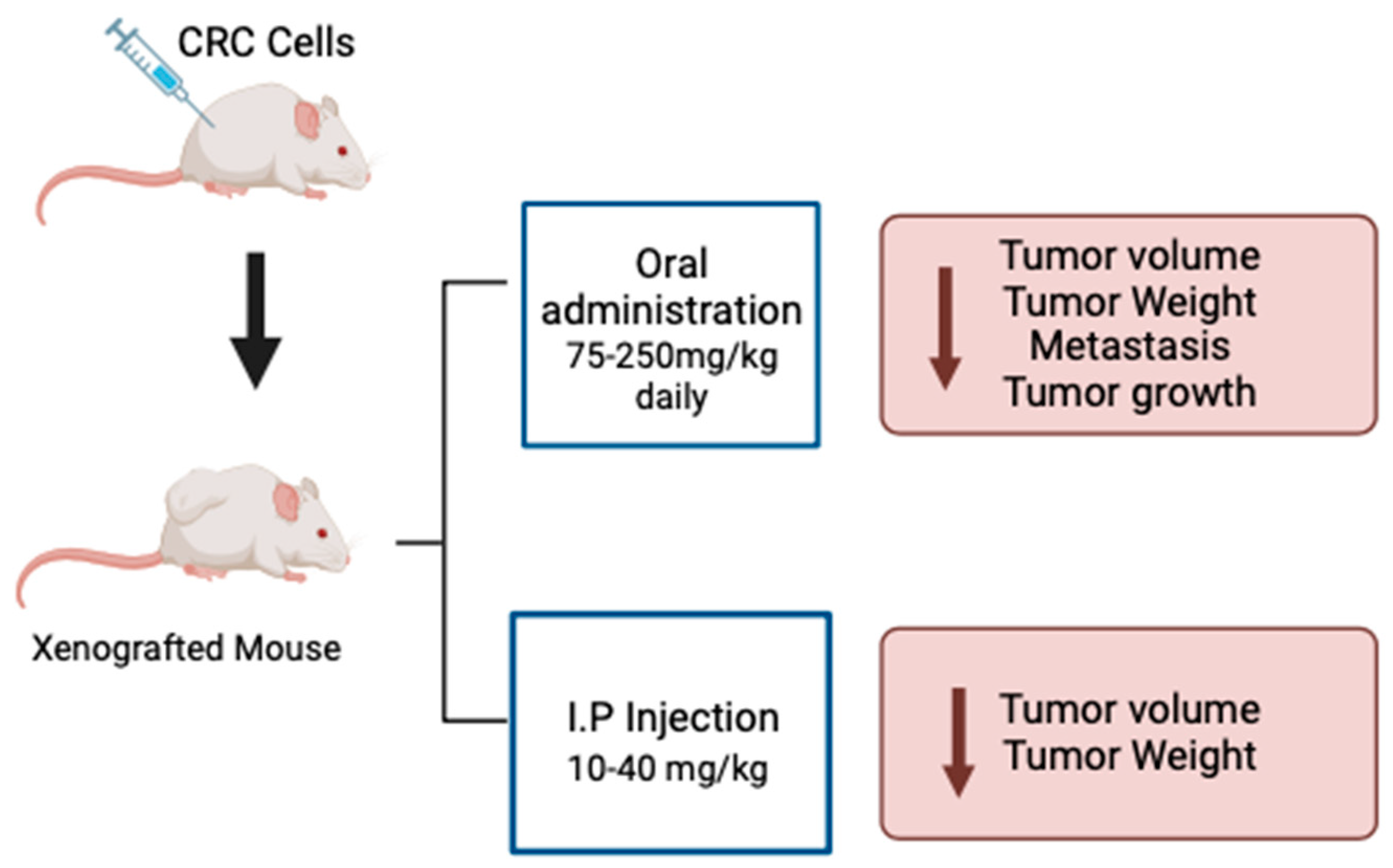 Nutraceuticals 04 00022 g004 Nutraceuticals 04 00022 g004