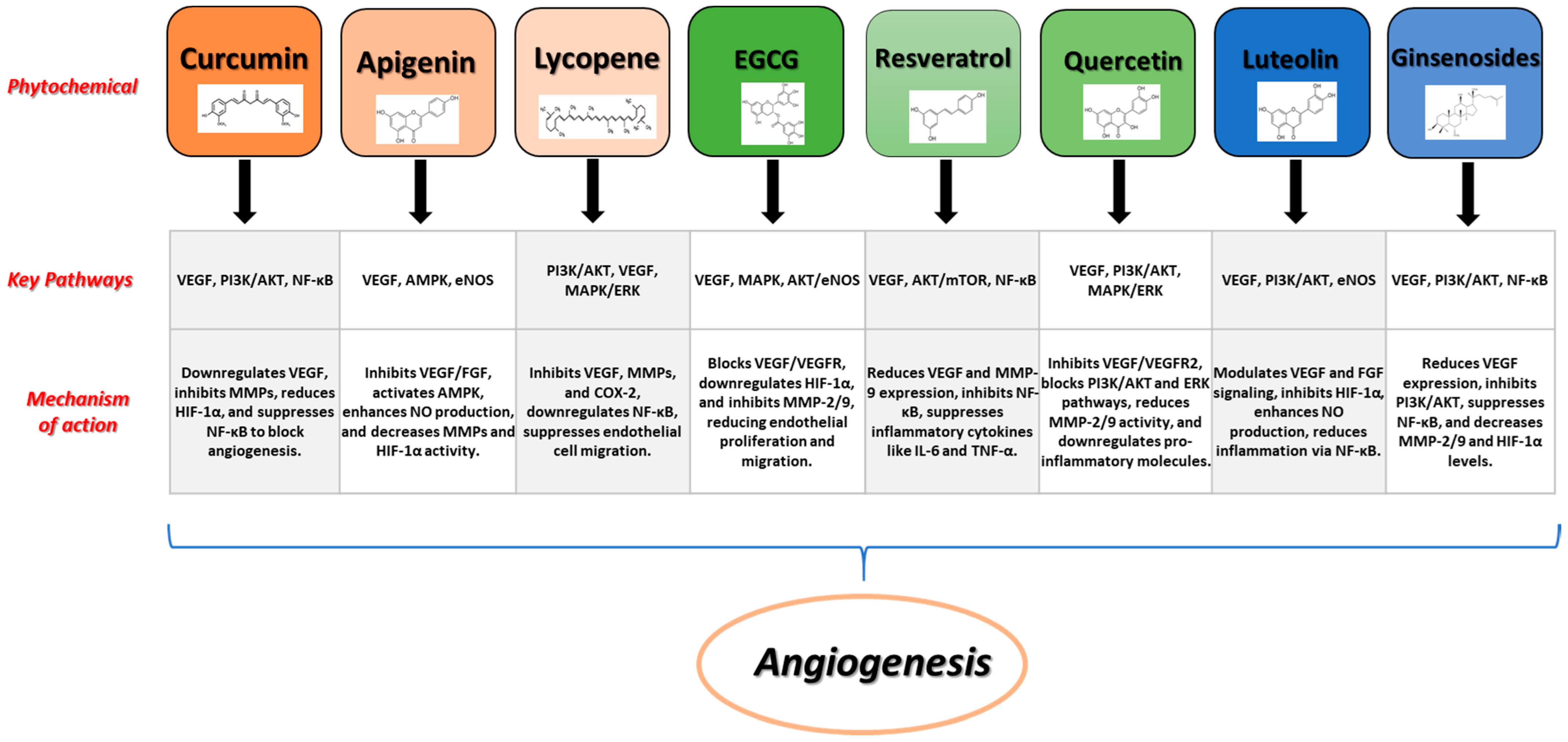Nutraceuticals 04 00027 g002