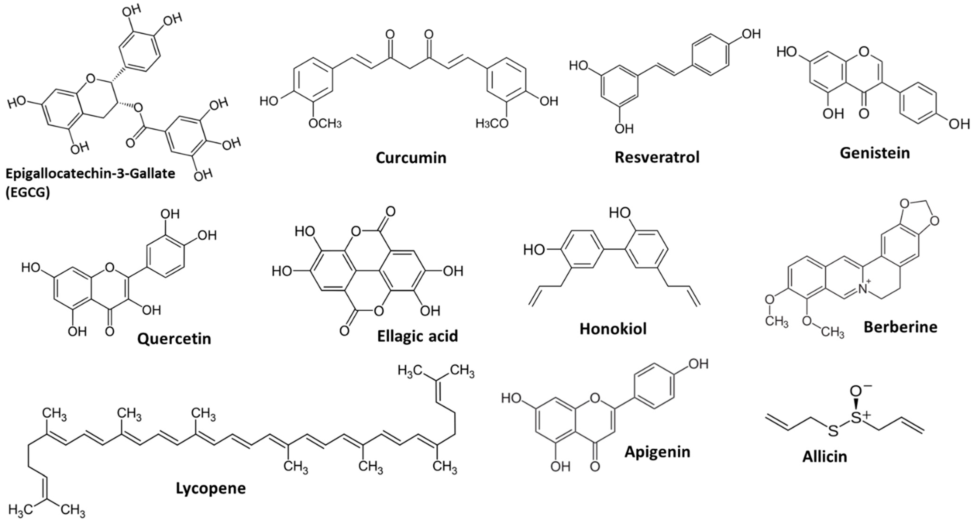 Nutraceuticals 04 00027 g003