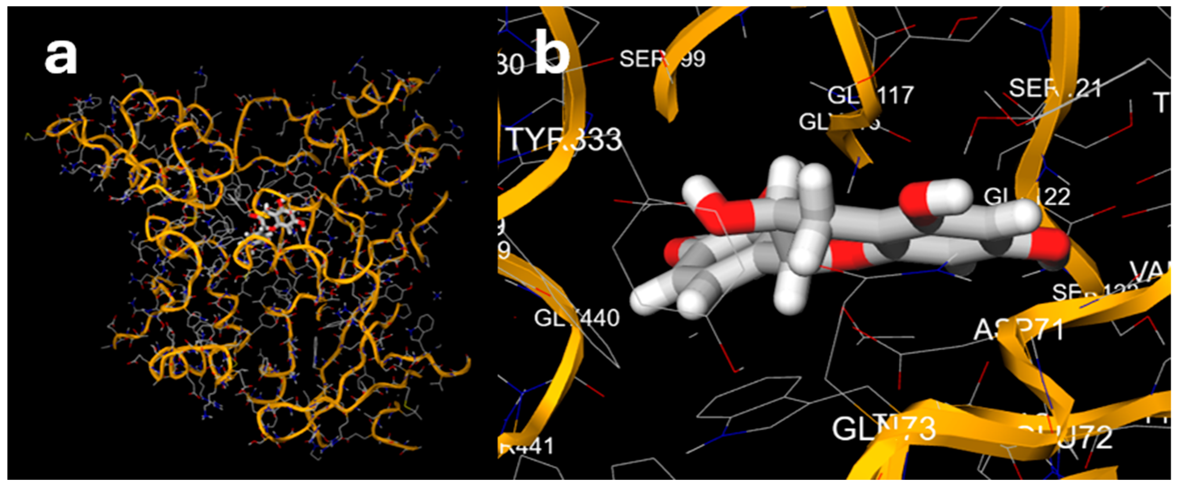 Nutraceuticals 04 00032 g002