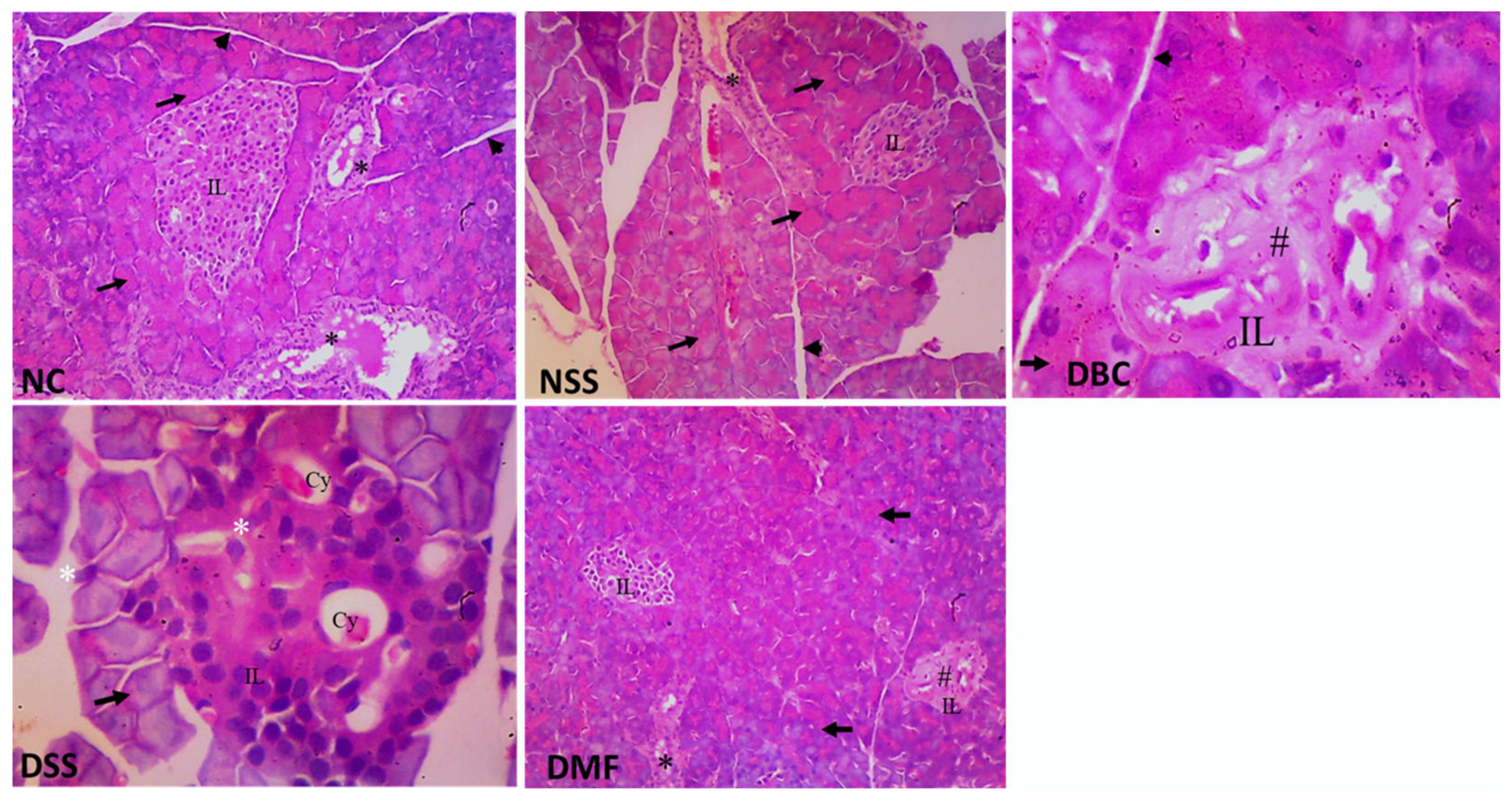 Nutraceuticals 04 00036 g004