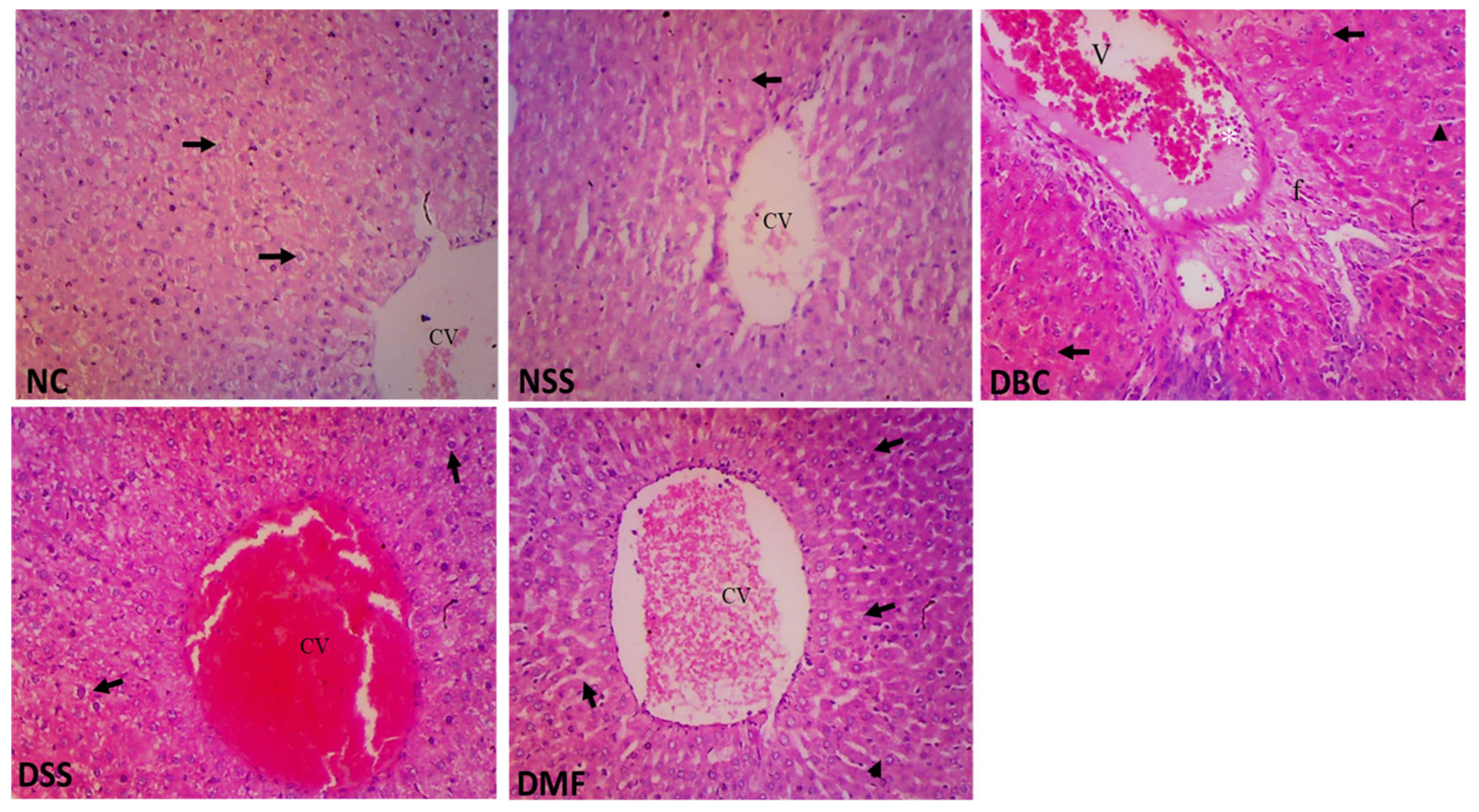 Nutraceuticals 04 00036 g005