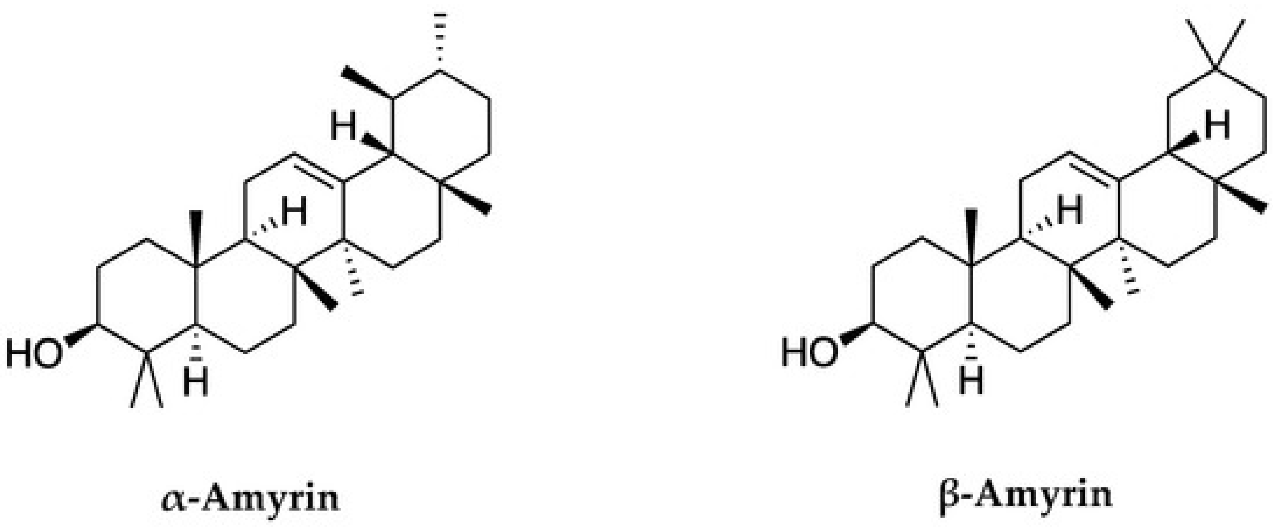 Nutraceuticals 05 00021 g001 Nutraceuticals 05 00021 g001