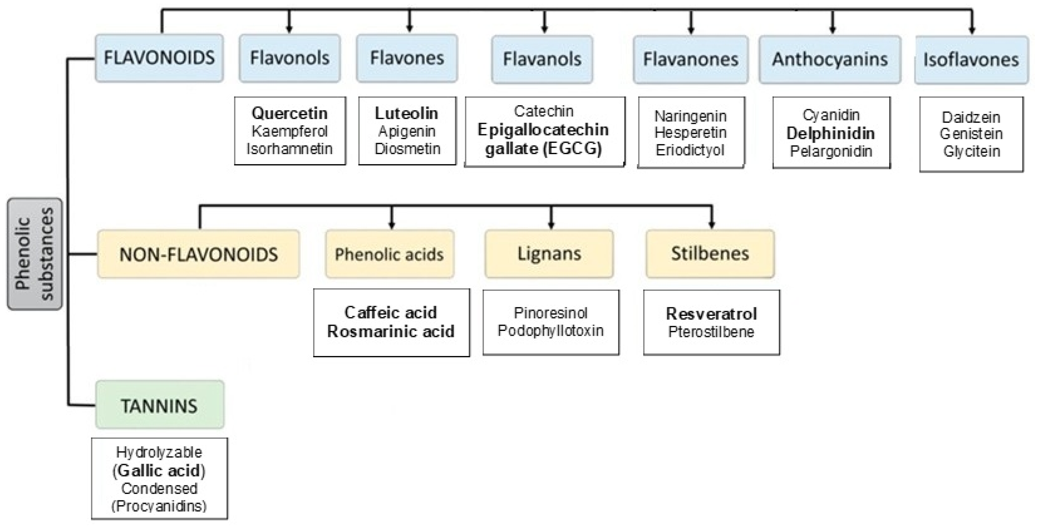 Nutraceuticals 05 00024 g001
