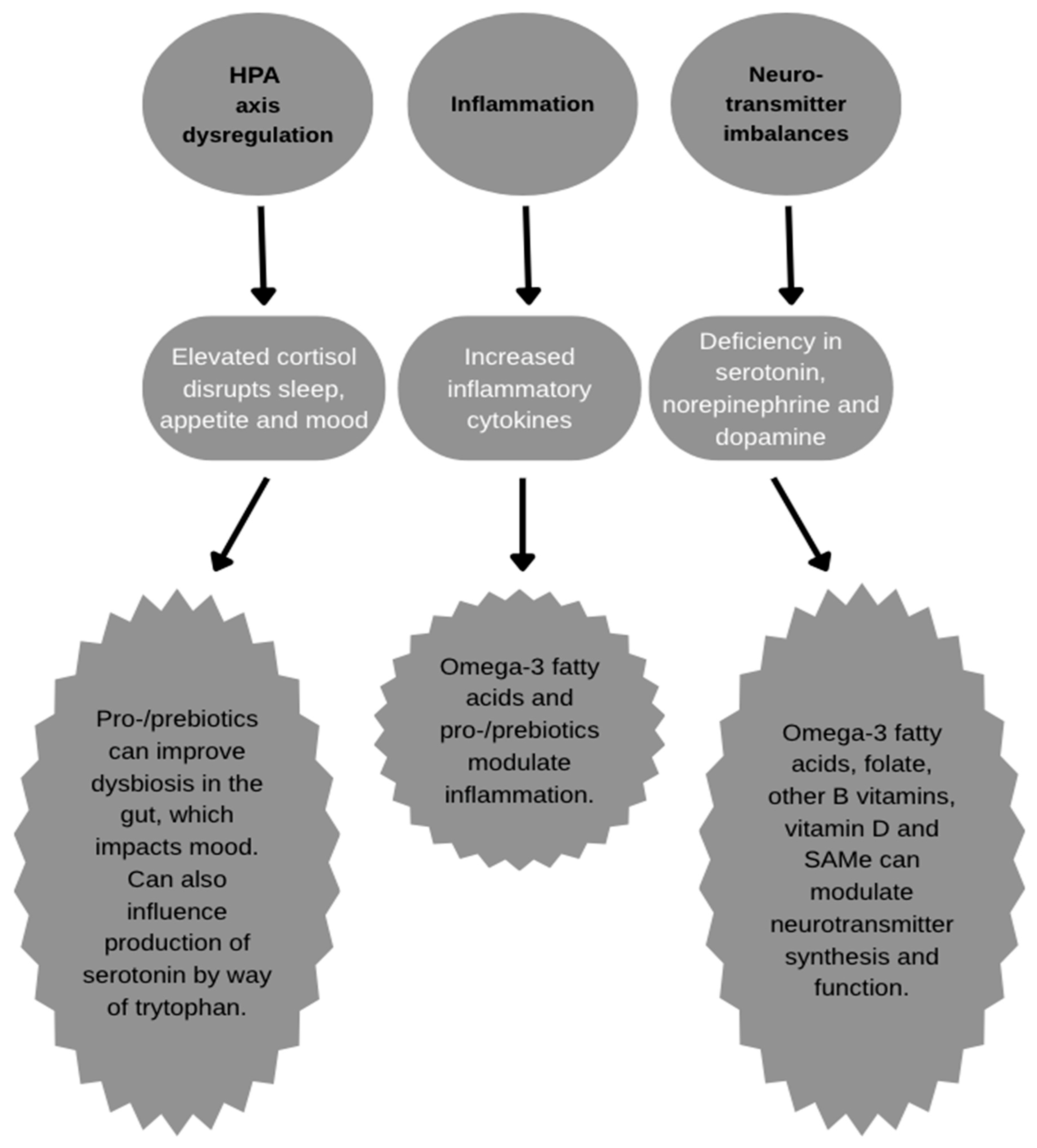 Nutraceuticals 05 00027 g001 Nutraceuticals 05 00027 g001