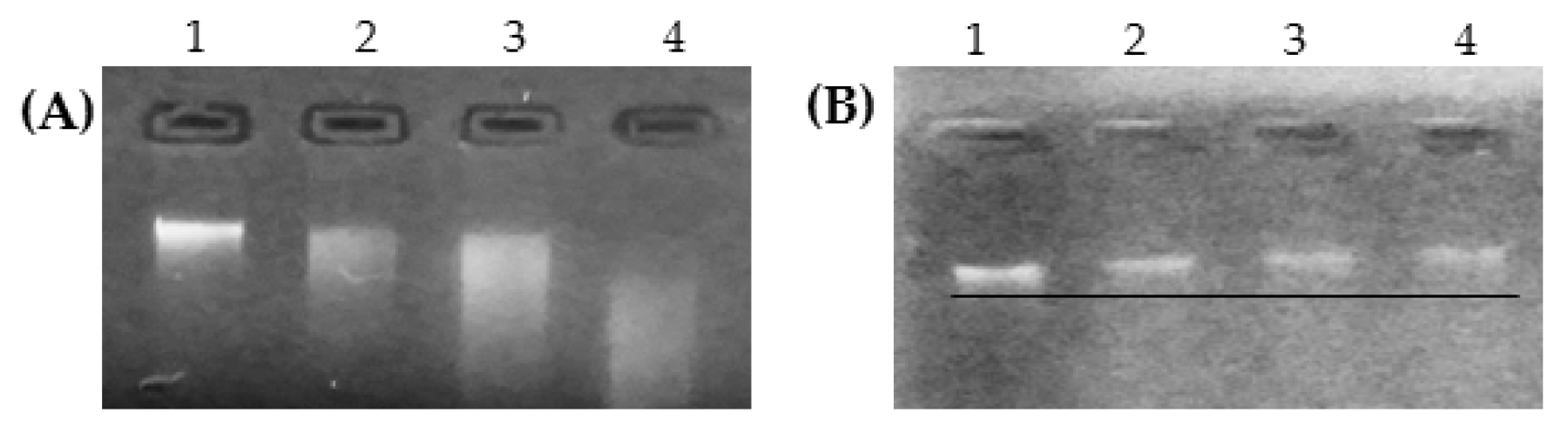 Nutraceuticals 05 00033 g004 Nutraceuticals 05 00033 g004