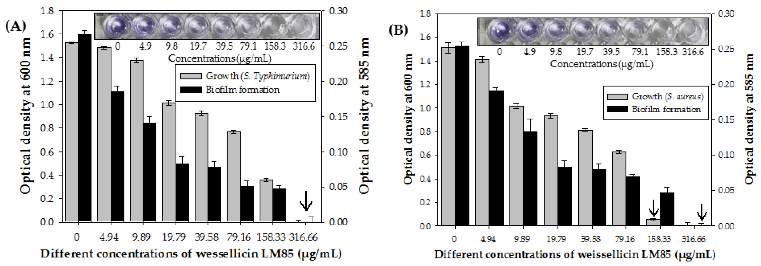 Nutraceuticals 05 00033 g006 Nutraceuticals 05 00033 g006