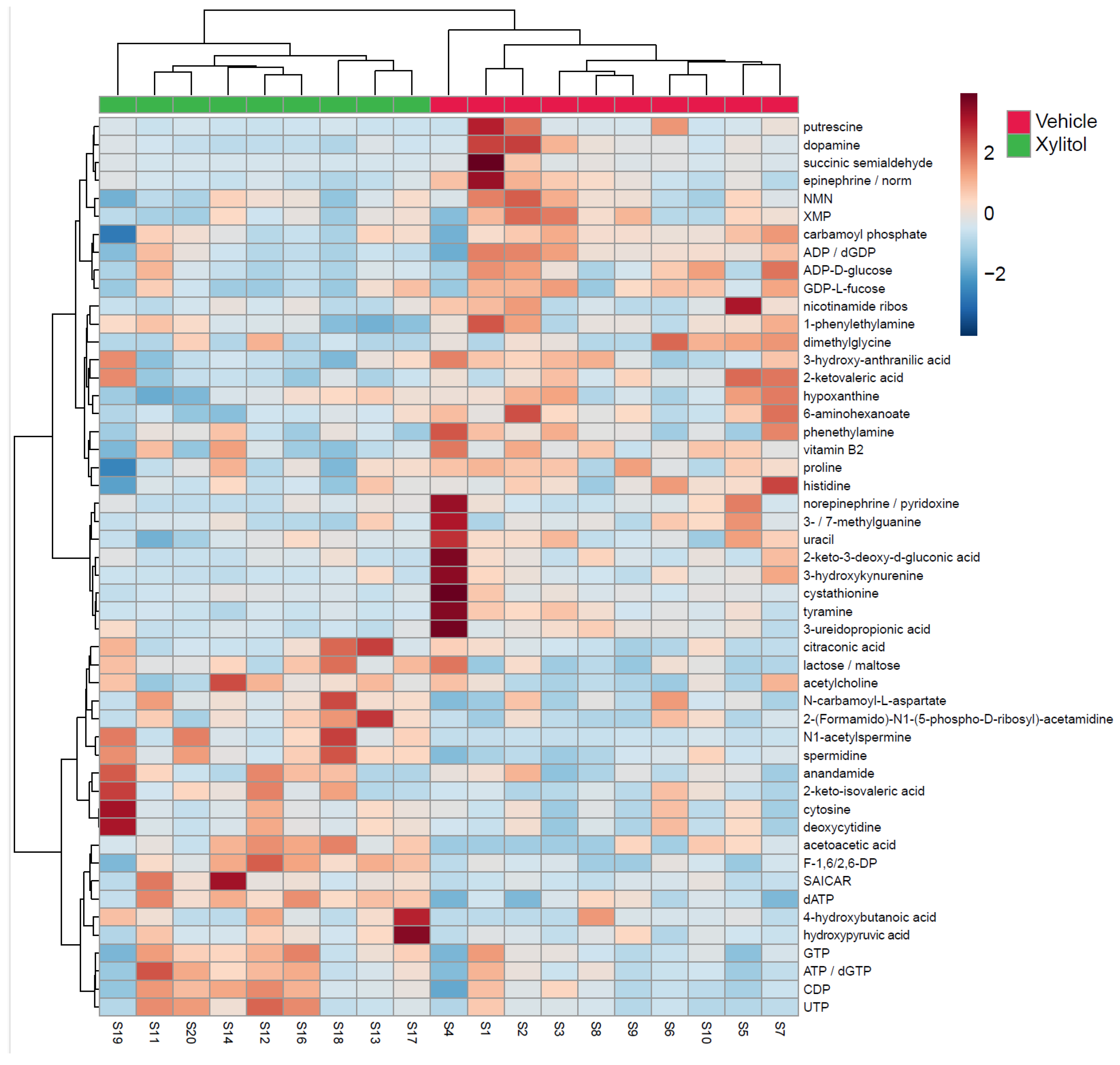 Nutraceuticals 05 00036 g004 Nutraceuticals 05 00036 g004