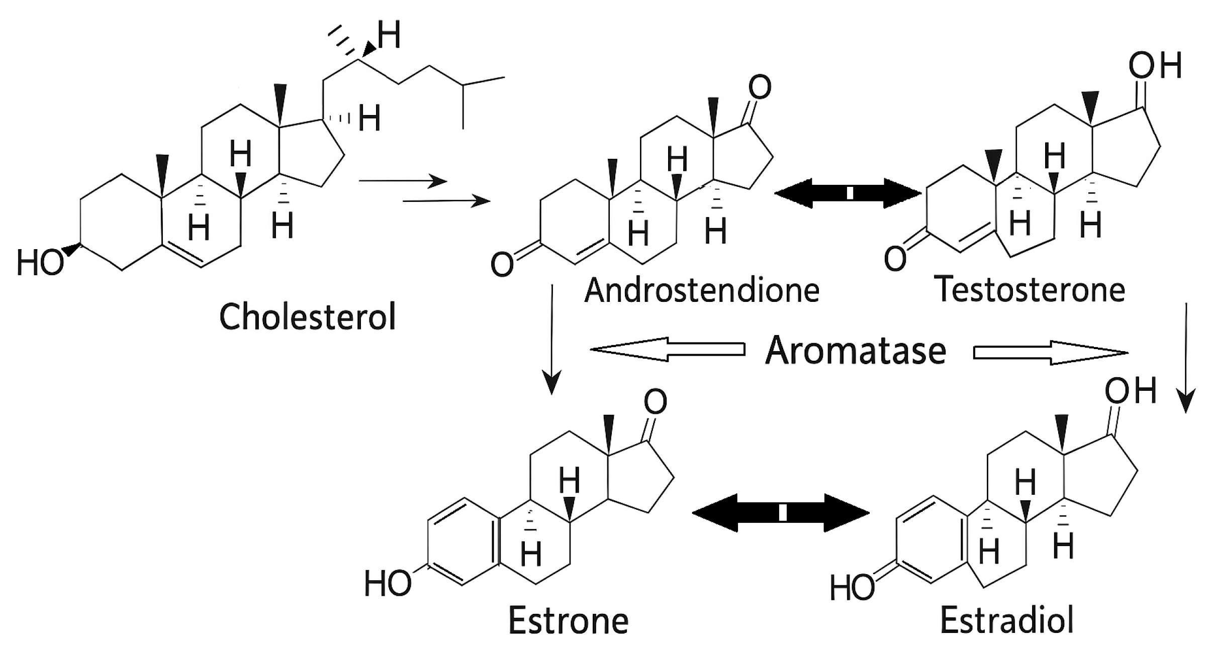 Nutraceuticals 05 00037 g003