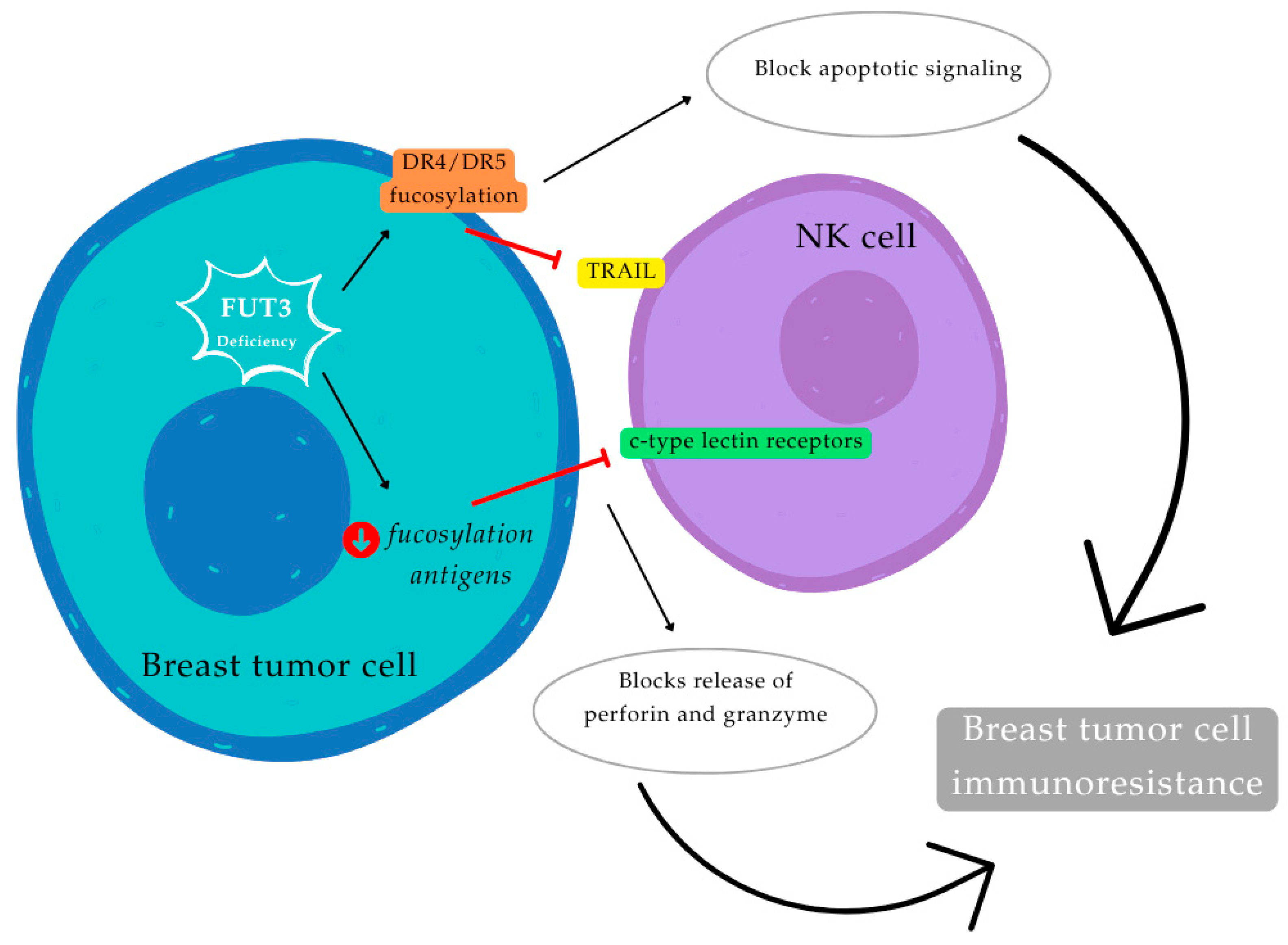 Nutraceuticals 05 00037 g006