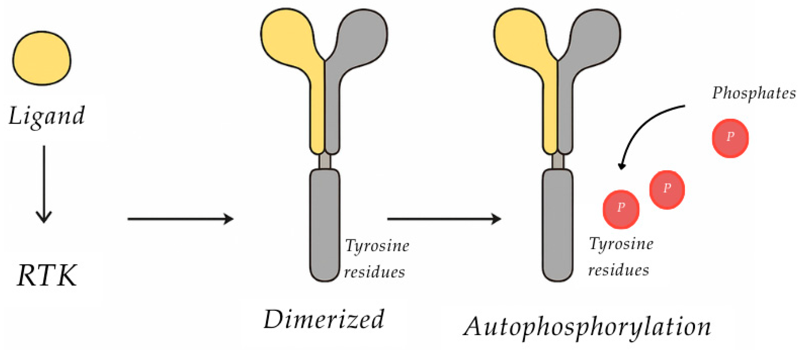 Nutraceuticals 05 00037 g008