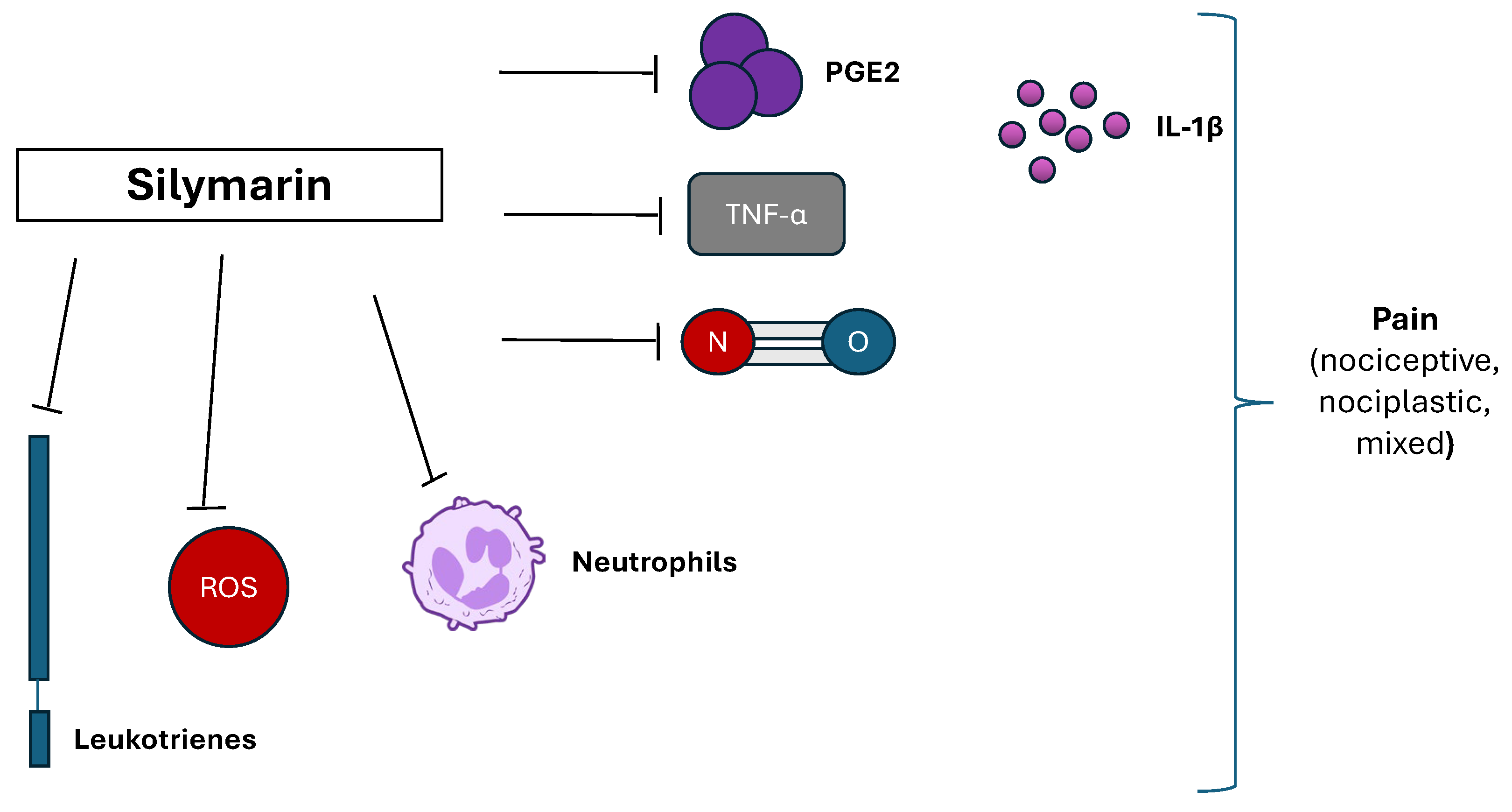 Nutraceuticals 05 00038 g003 Nutraceuticals 05 00038 g003