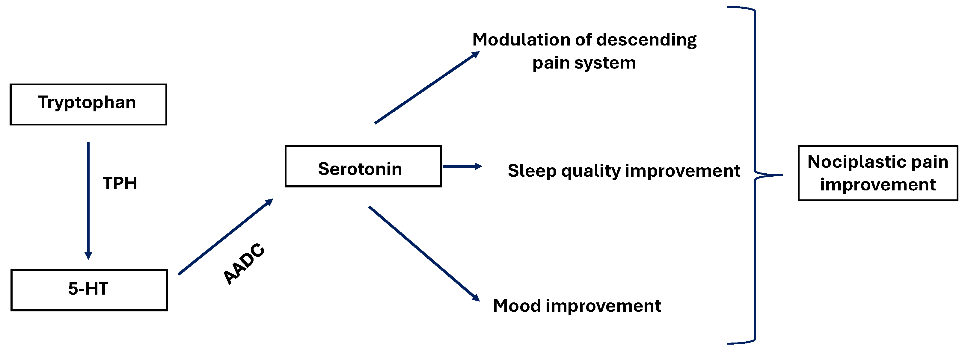 Nutraceuticals 05 00038 g005 Nutraceuticals 05 00038 g005