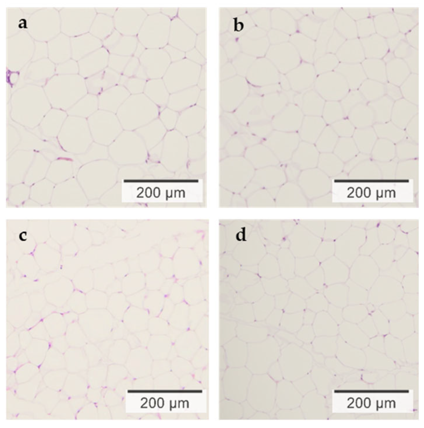 Nutraceuticals 05 00039 g002