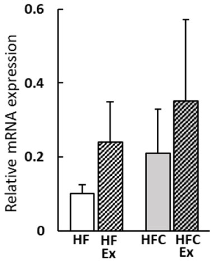 Nutraceuticals 05 00039 g004