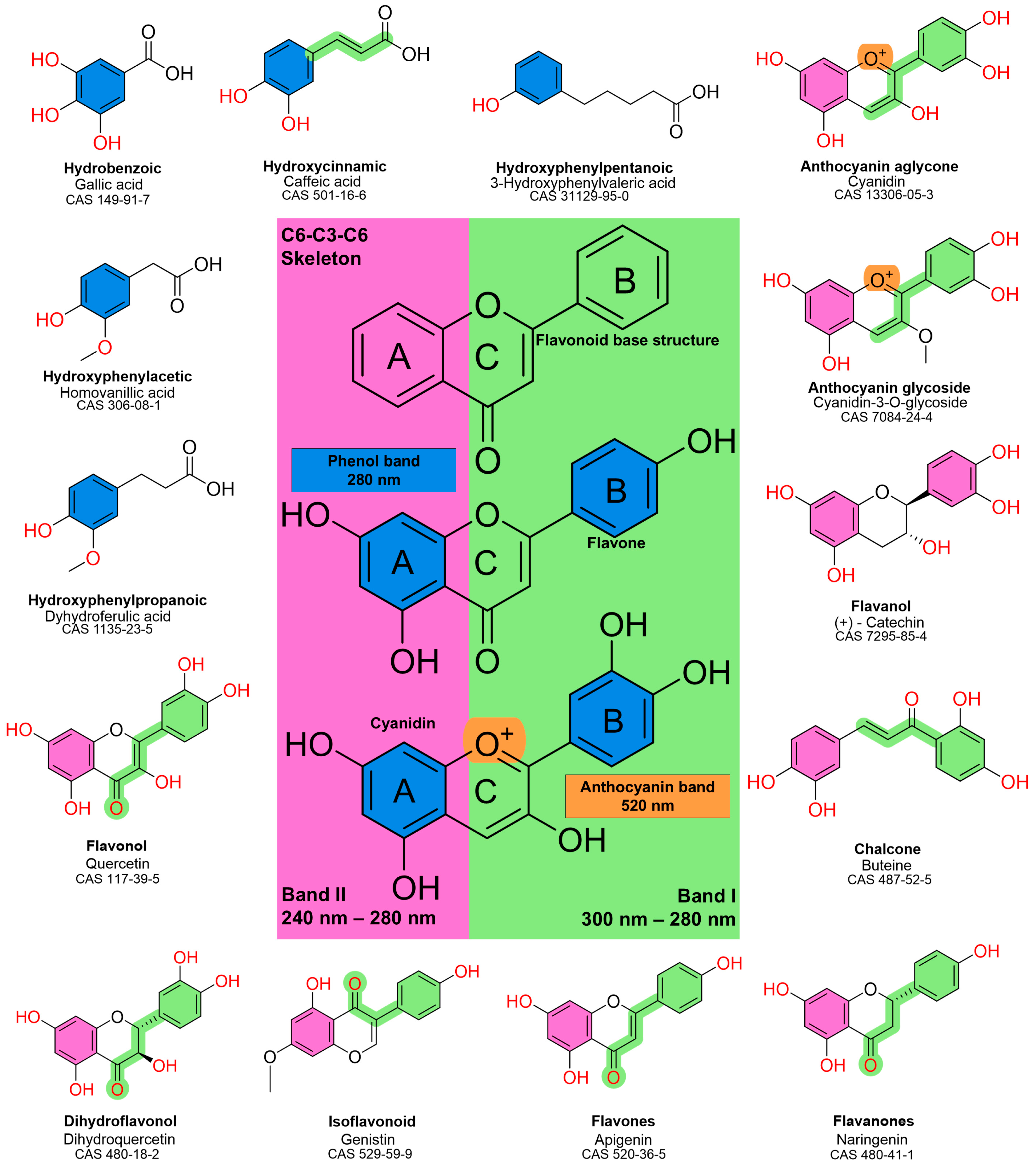 Nutraceuticals 05 00040 g001