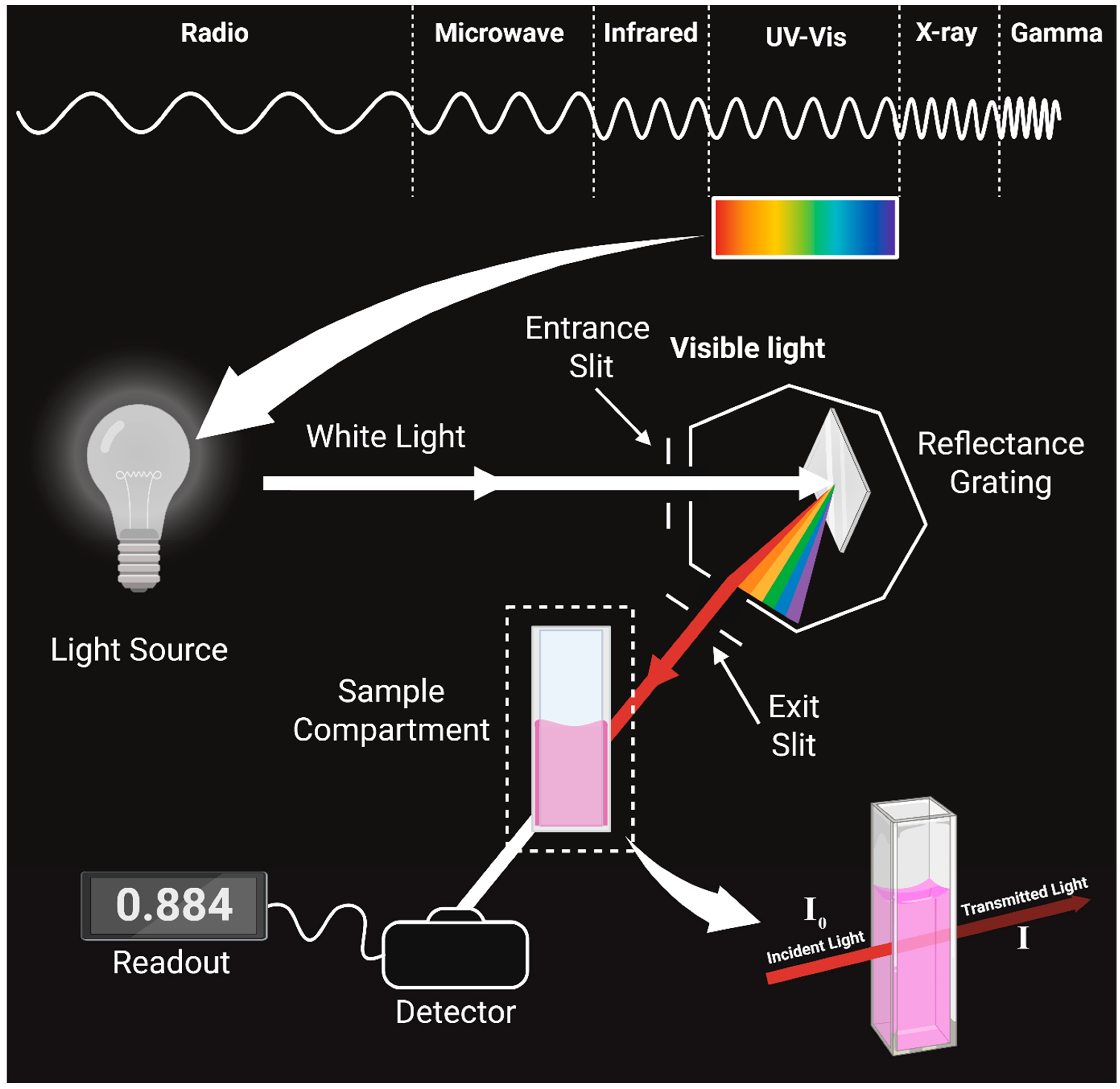 Nutraceuticals 05 00040 g003