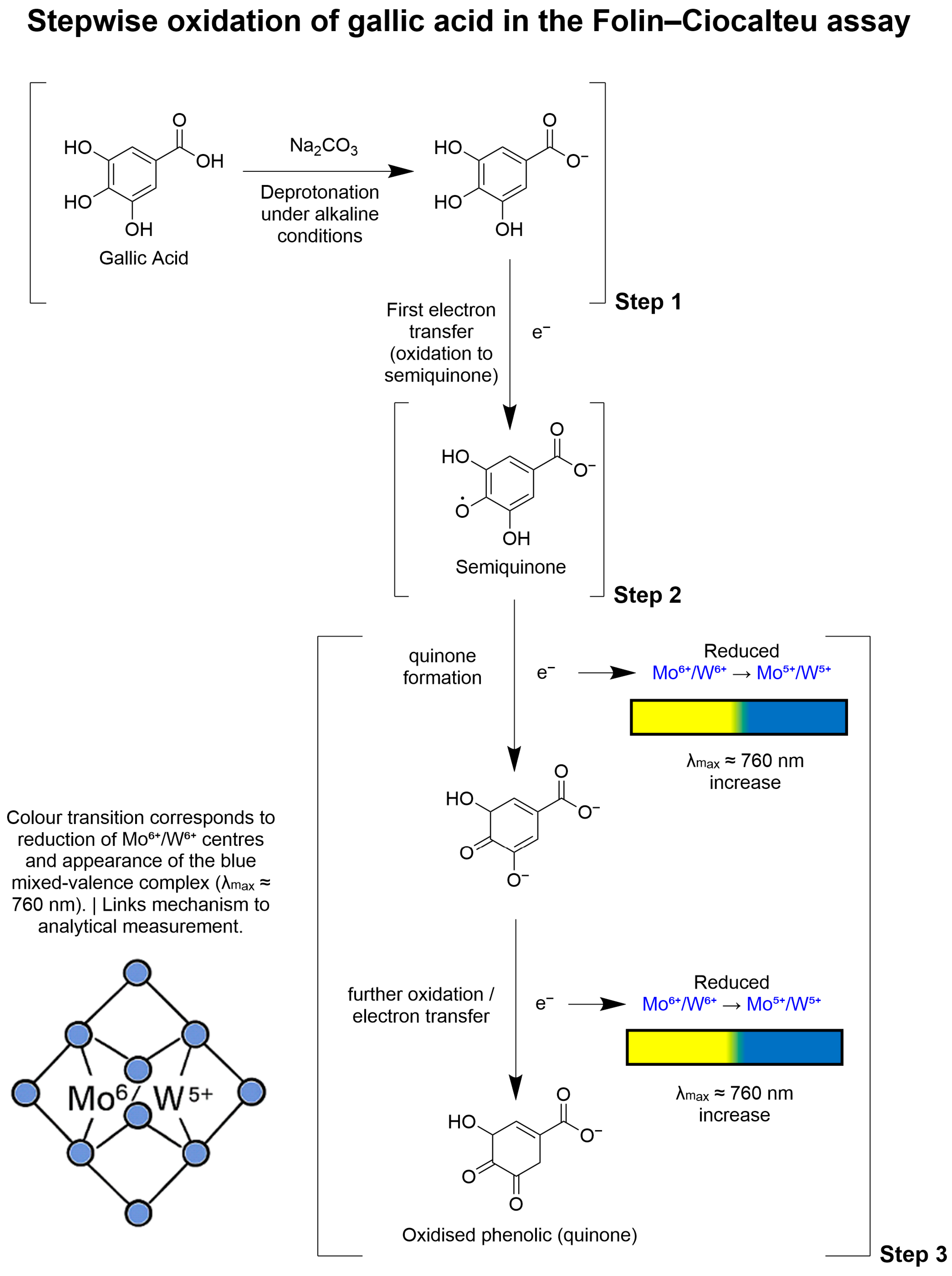 Nutraceuticals 05 00040 g005