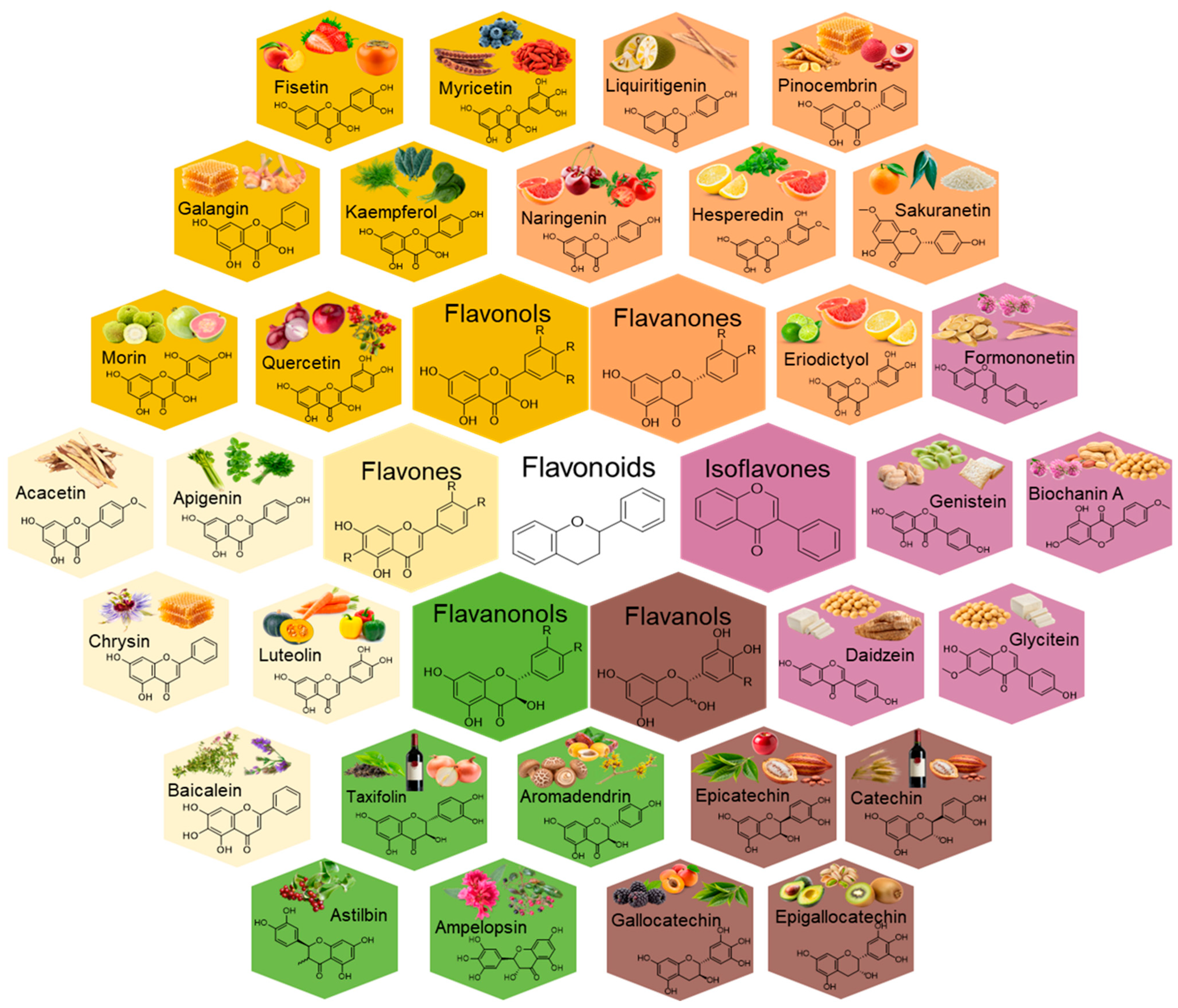 Nutraceuticals 05 00040 g007