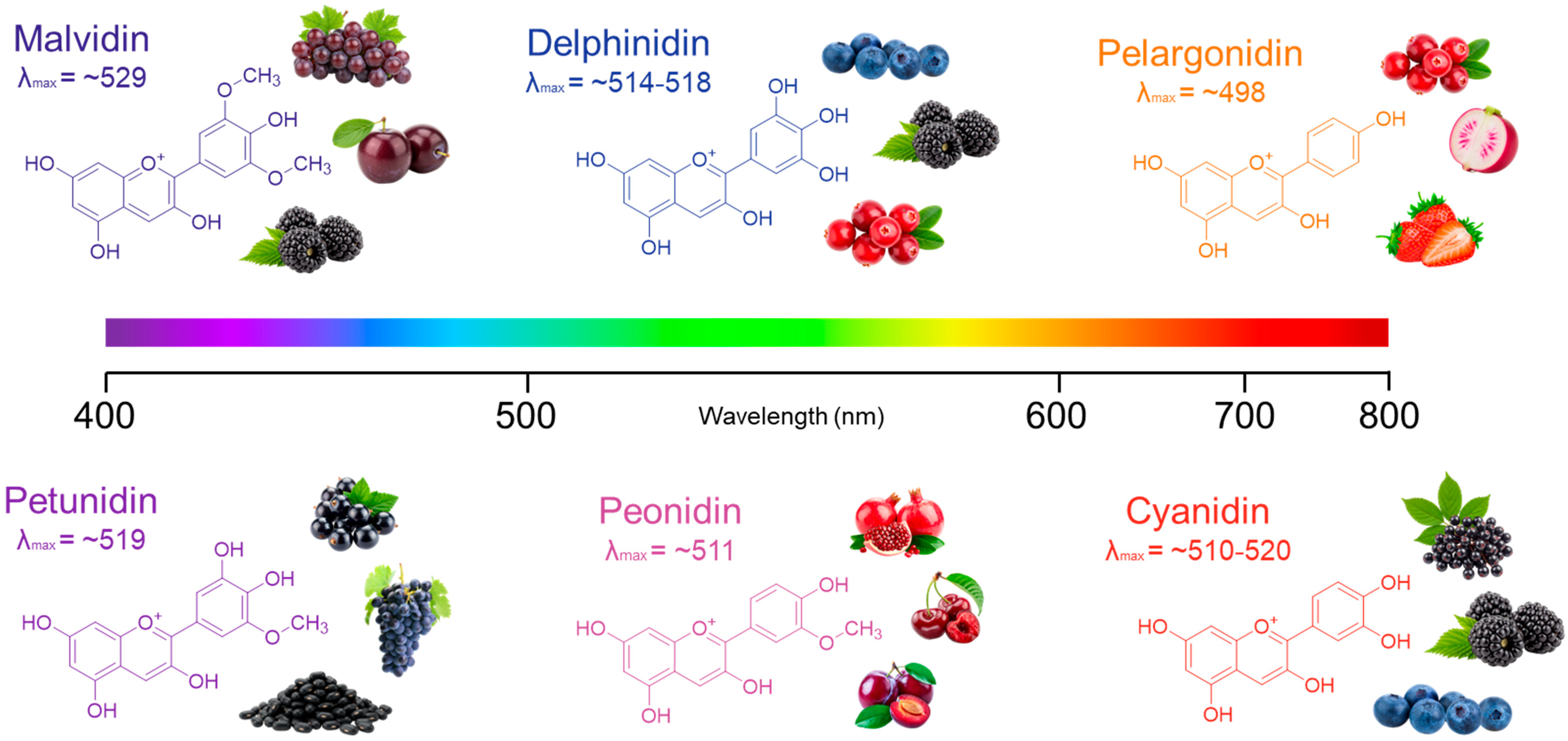Nutraceuticals 05 00040 g010