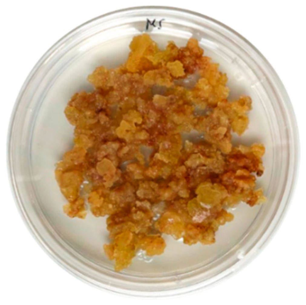 Nutraceuticals 06 00010 g002