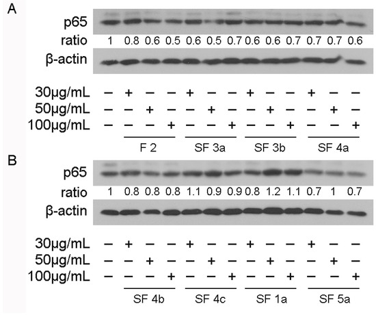 Subfractionation of Pistacia lentiscus L. var. Chia Neutral
