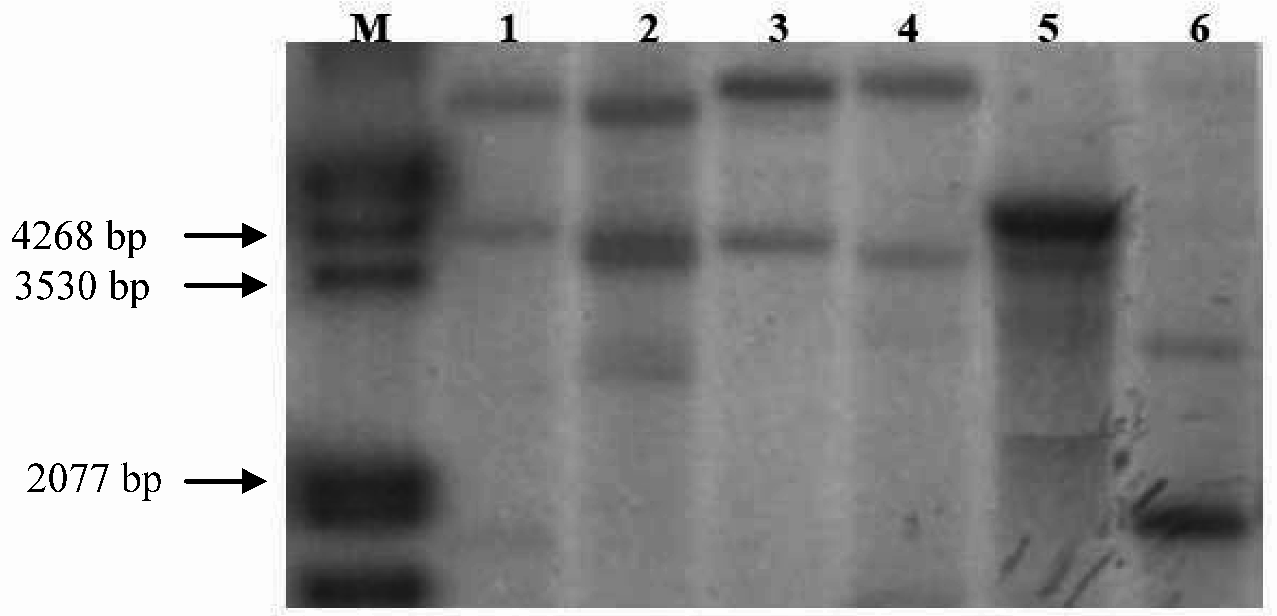 Nutrients 01 00119 g001