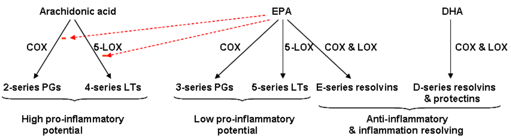 Nutrients 02 00355 g003
