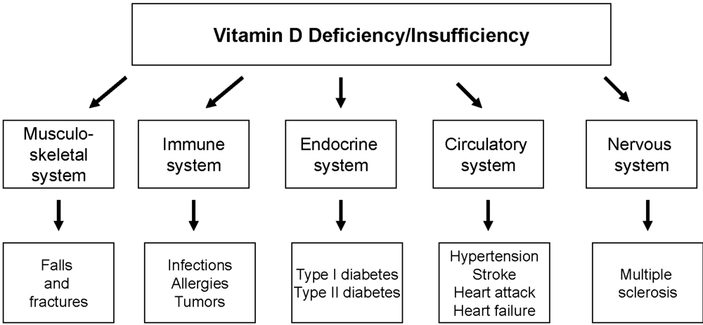 Nutrients 02 00408 g001