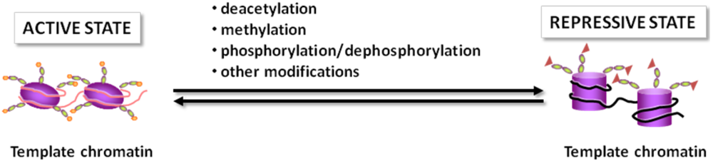 Nutrients 02 00551 g001