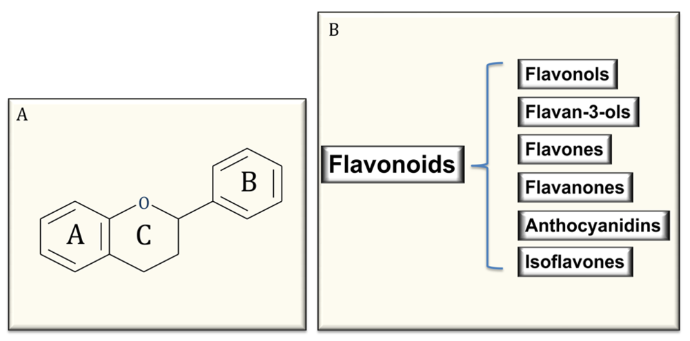 Nutrients 02 00889 g001