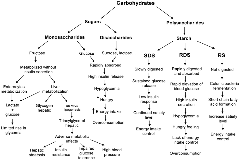 Classification Of Carbohydrates Chart