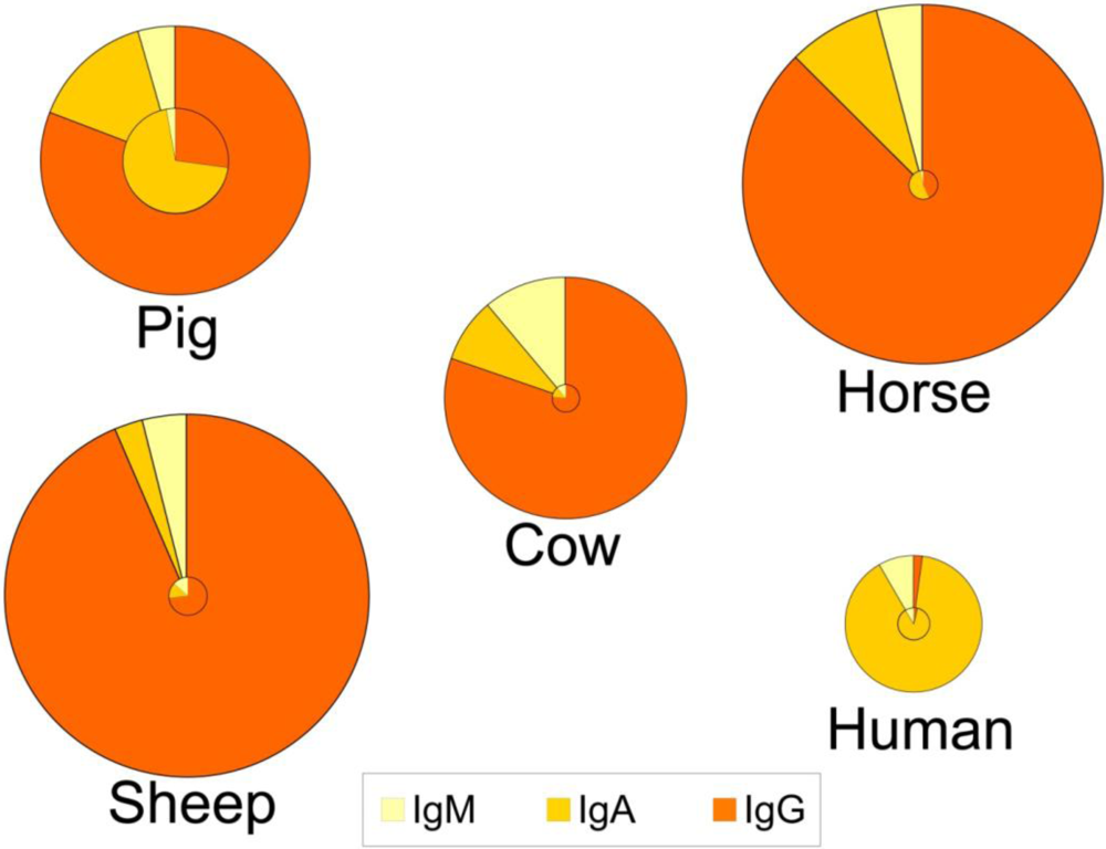 Widespread vertical transmission of secretory immunoglobulin A