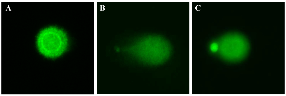 Nutrients 03 00839 g003 1024