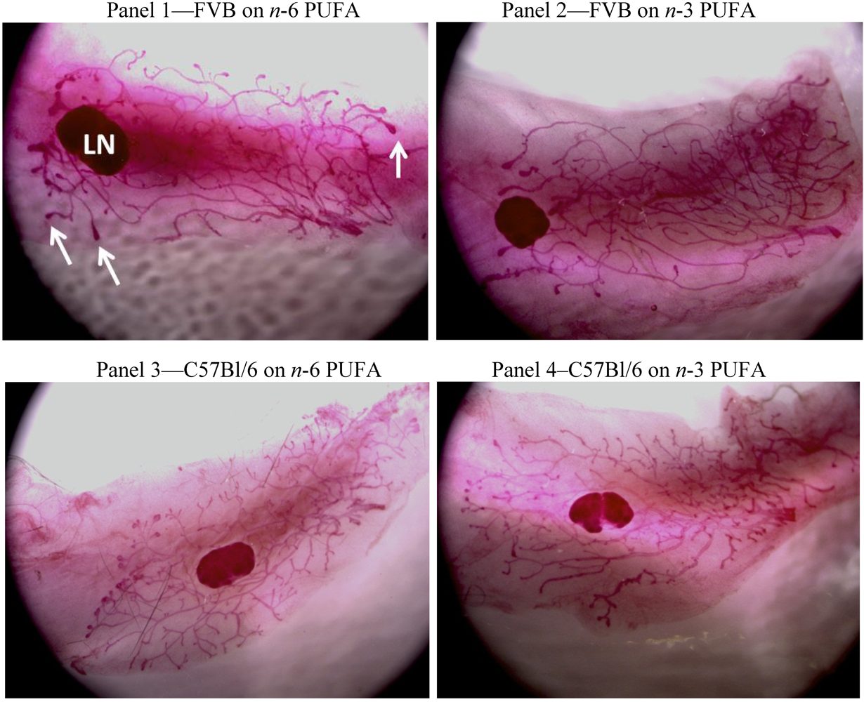 Nutrients 03 00929 g002